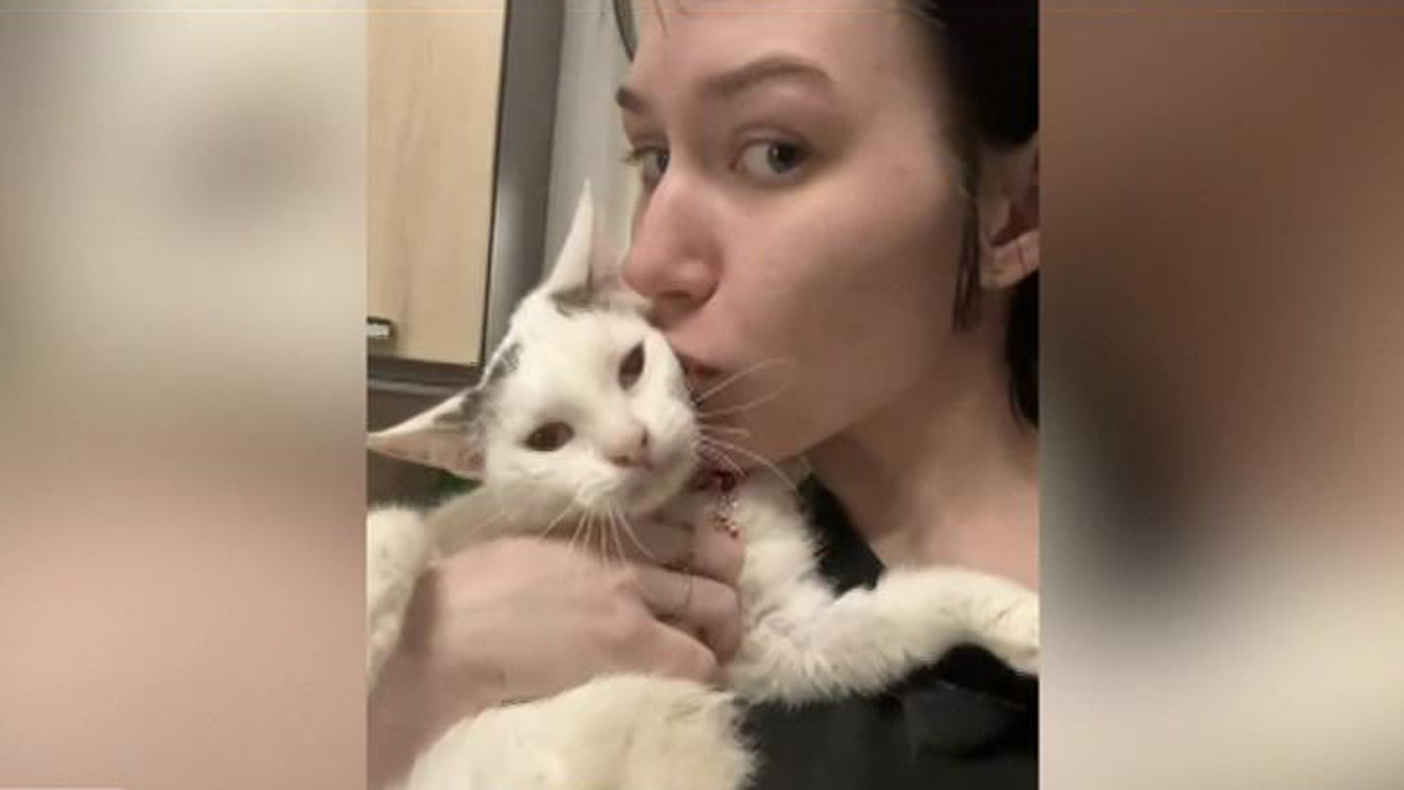 В Красногорске женщина проводит опасные операции над животными