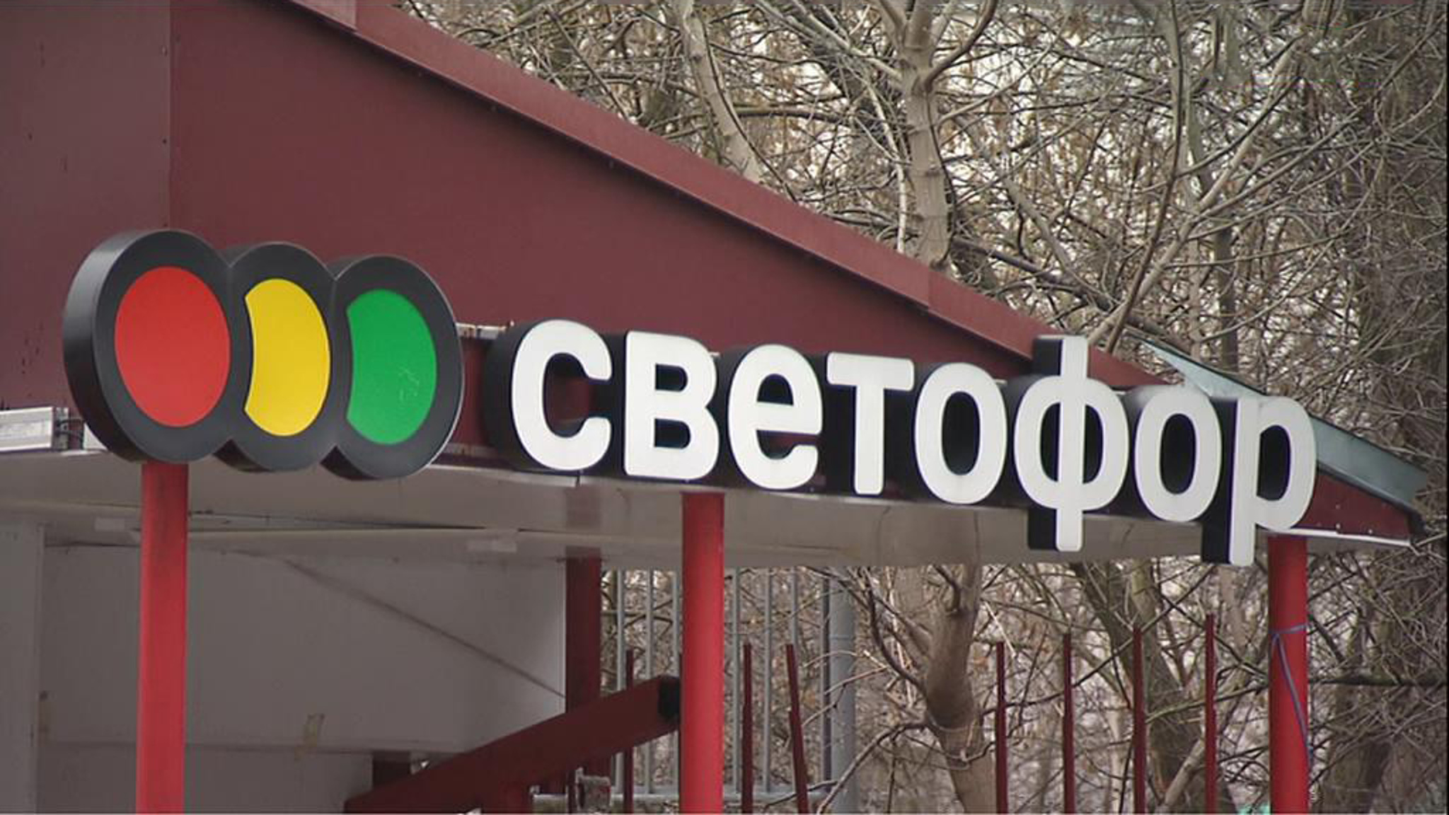 Красный для "Светофора" зажгли тараканы, мухи и моль
