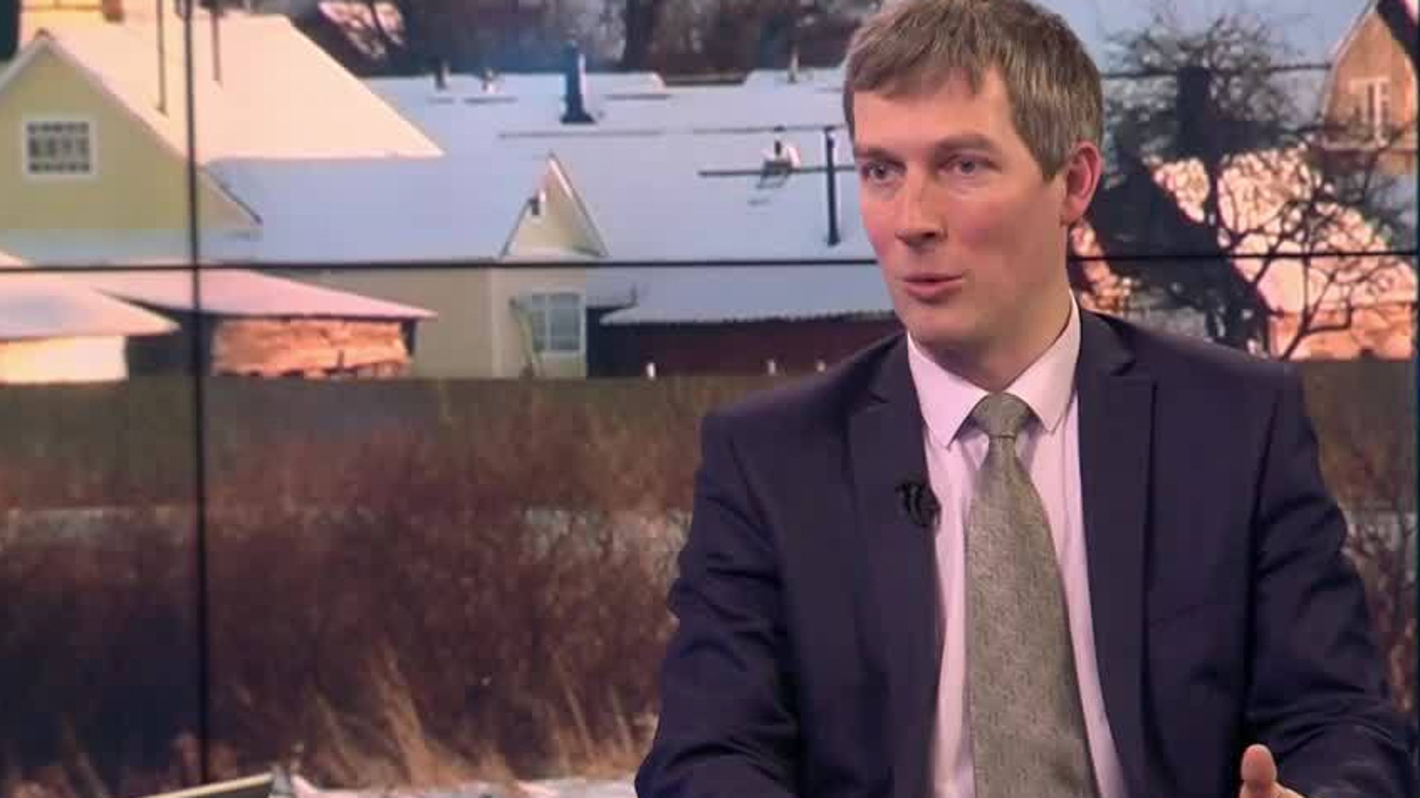 Эксперт: все заброшенные земельные участки проверят