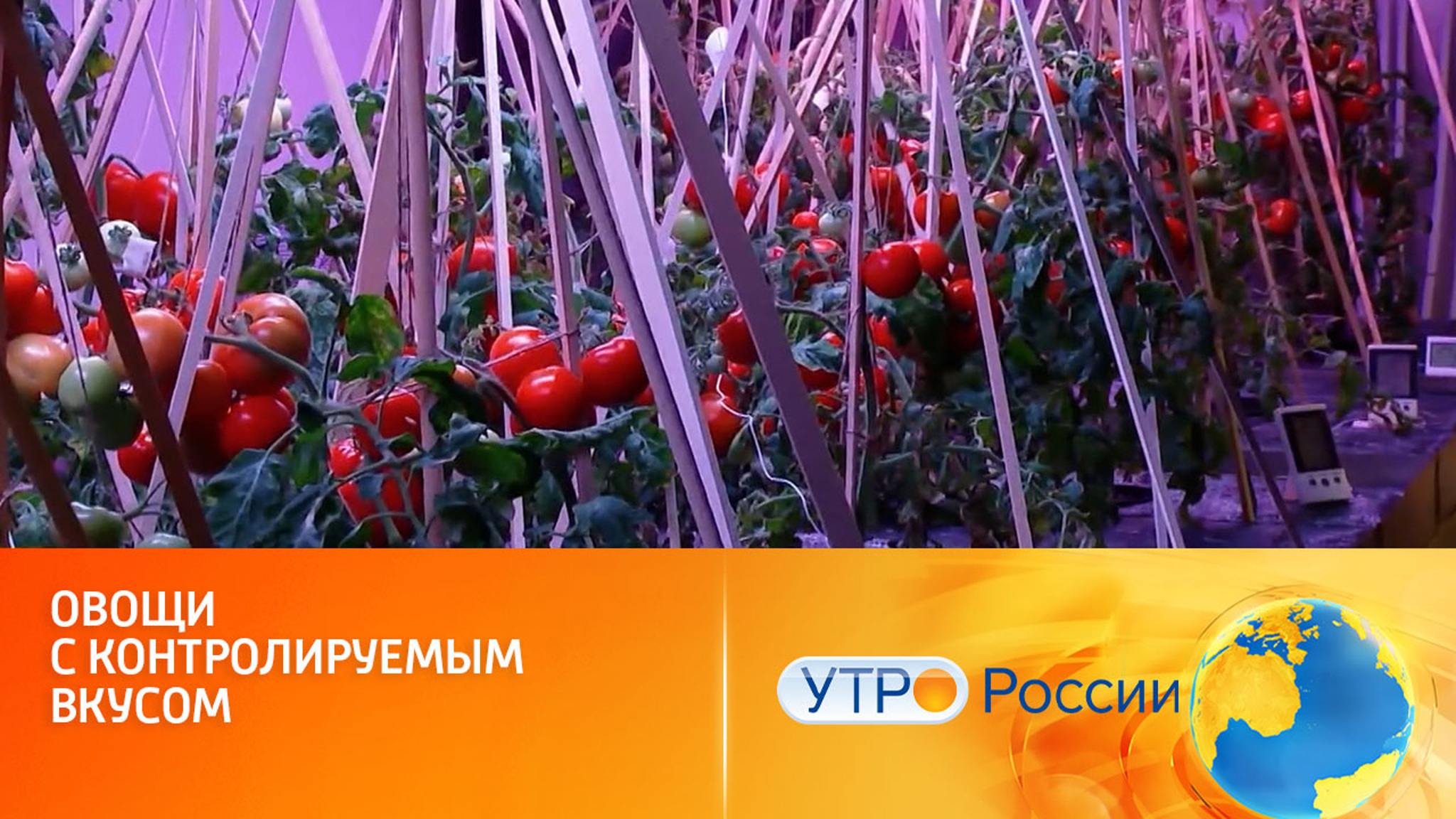 Искусственное солнце для выращивания овощей