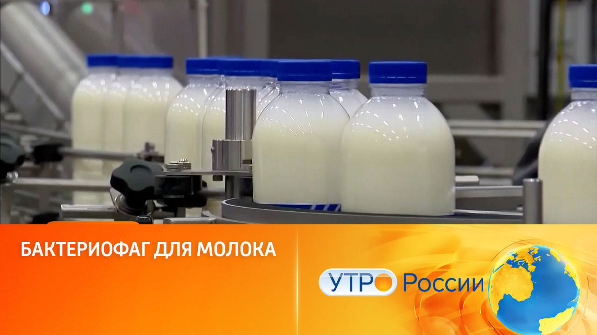 Ученые изобрели способ защитить молоко от вредных микроорганизмов