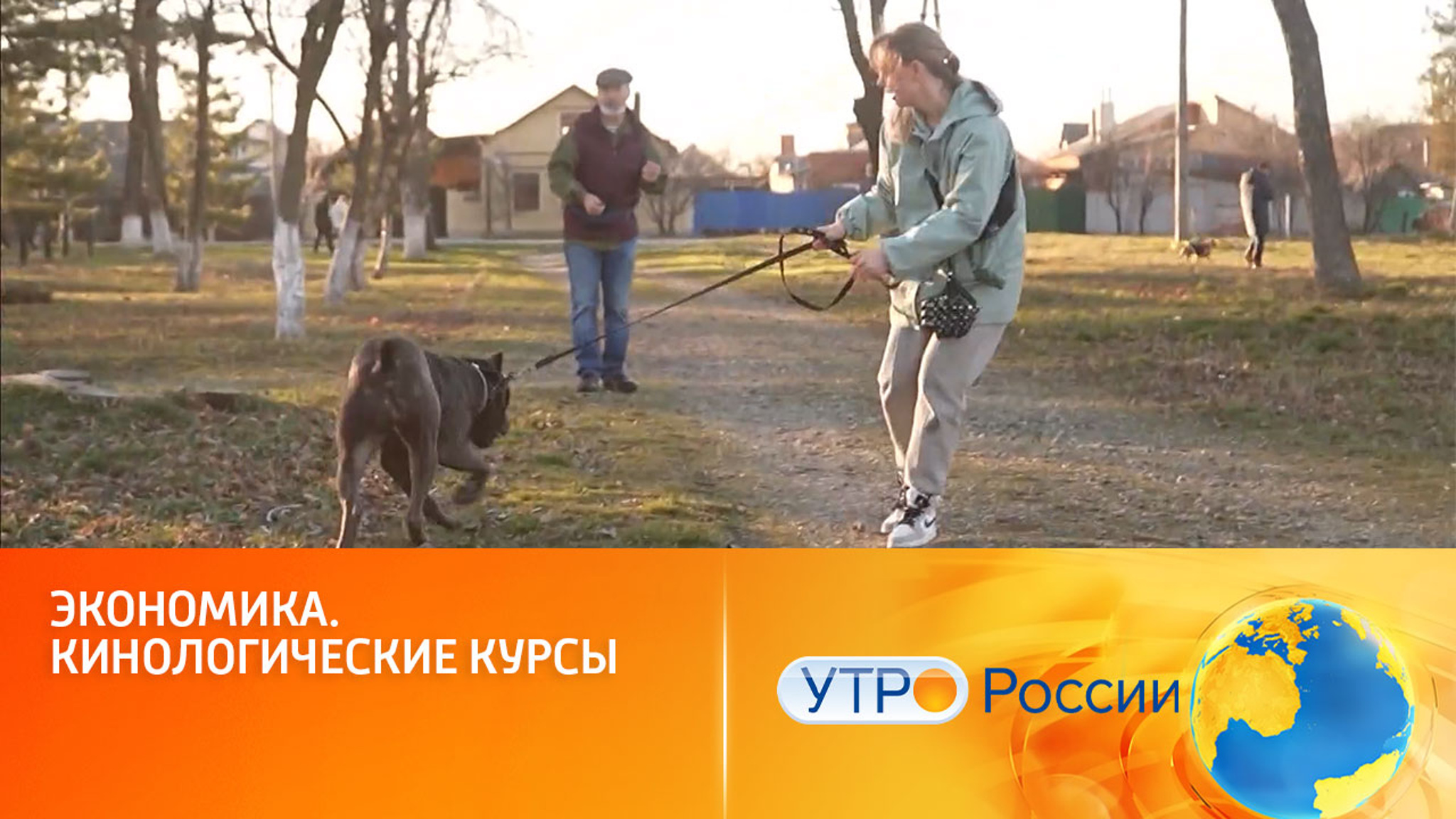 В России вырос спрос на услуги кинологов