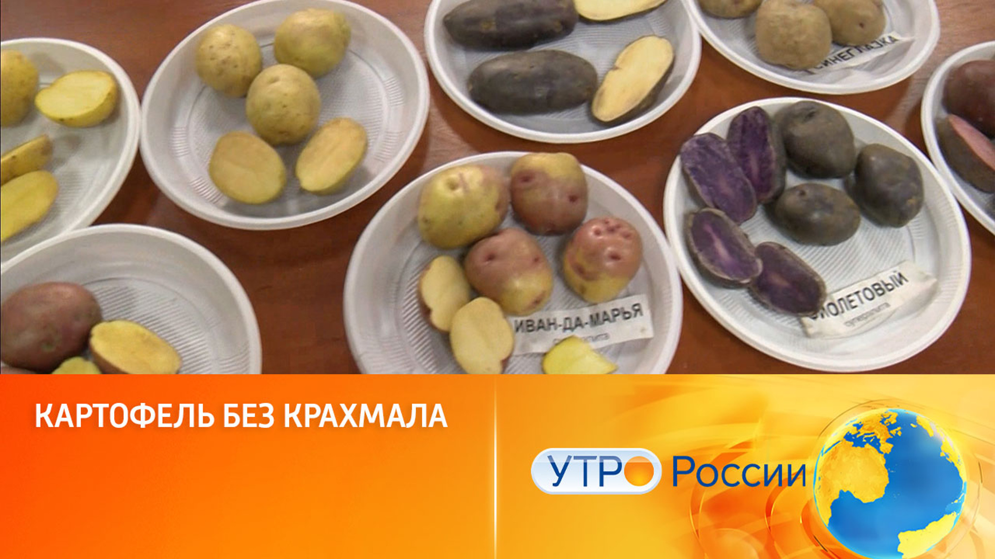 Селекционеры вывели низкокалорийный картофель