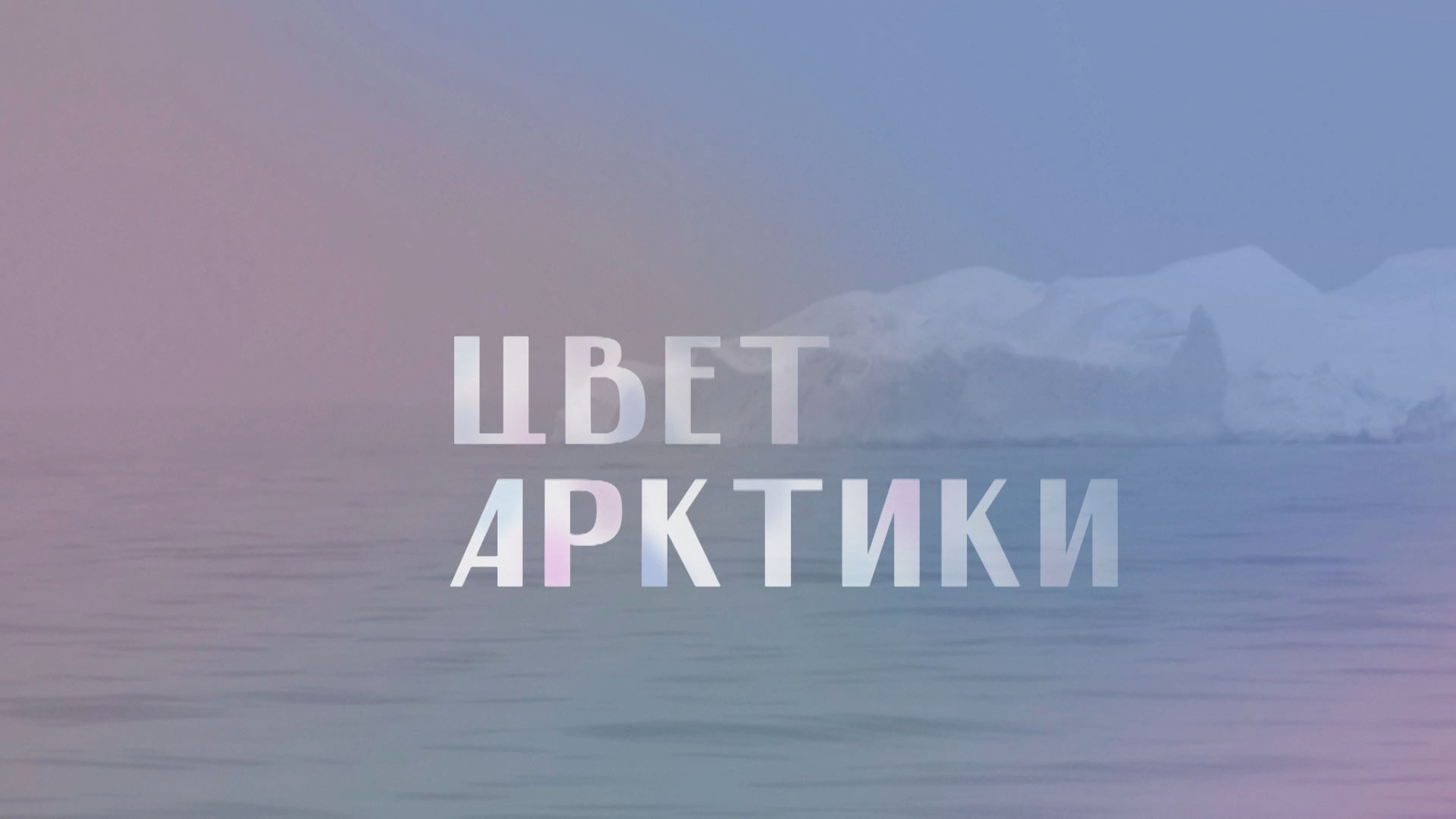 Цвет Арктики