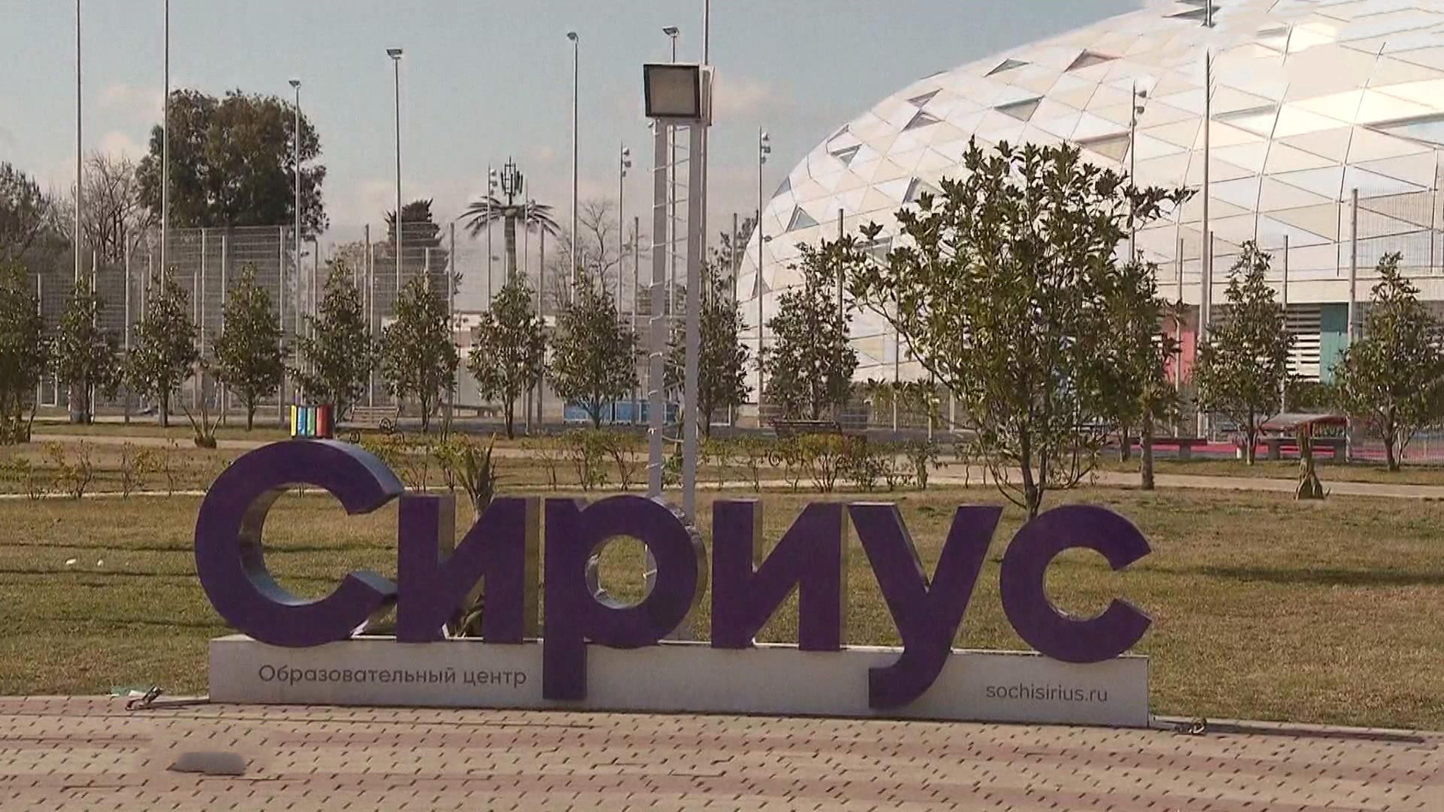 Сириус показал миру, как раскрыть способности ребенка в любых областях