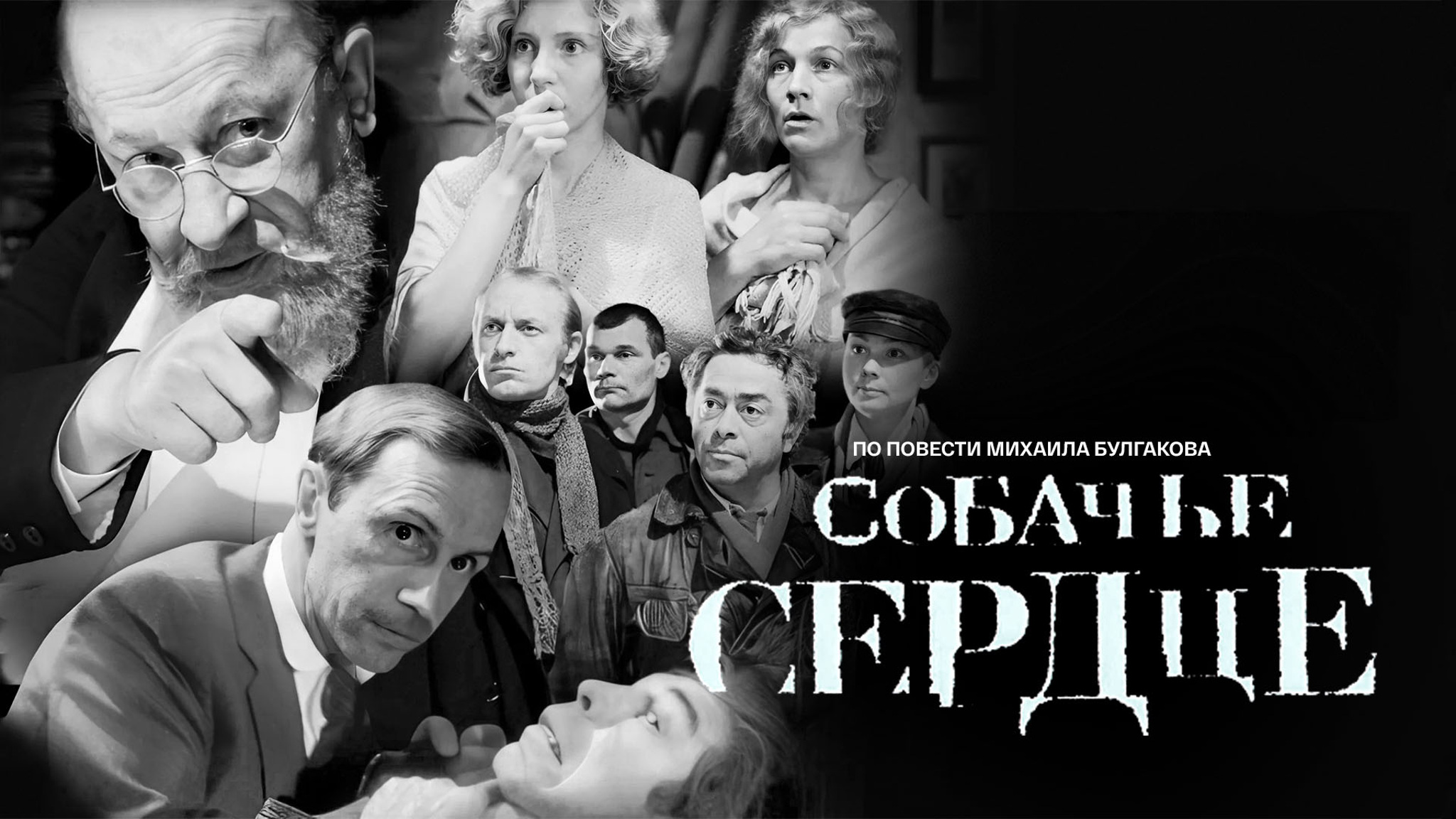 Собачье сердце