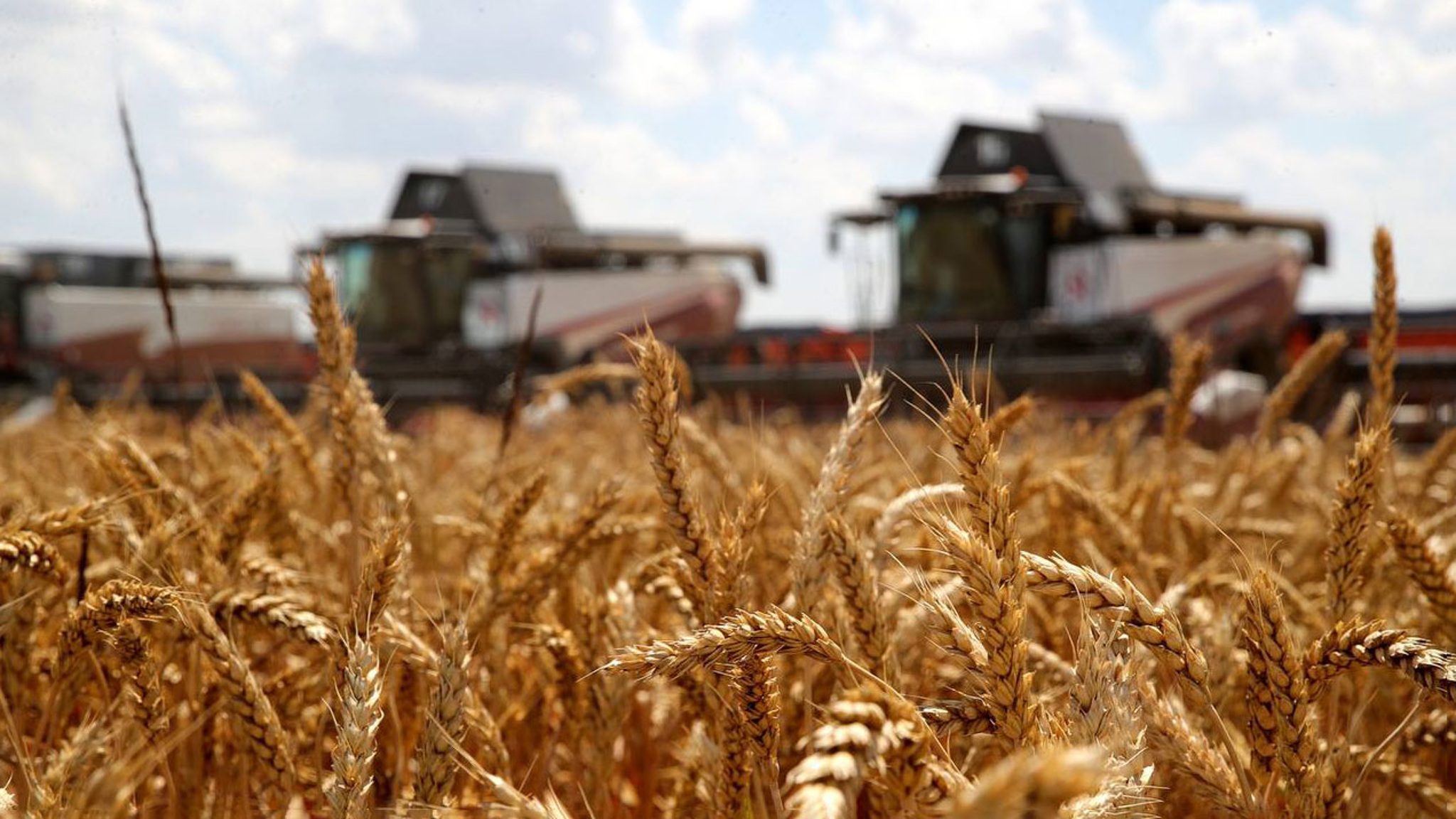Цены на сельхозпродукцию обсудили на совещании Путина с правительством