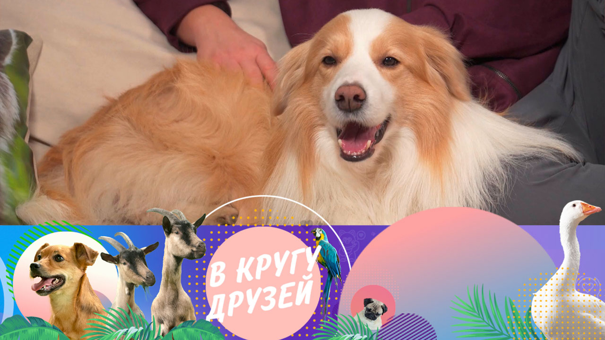 Эфир от 09.03.2025