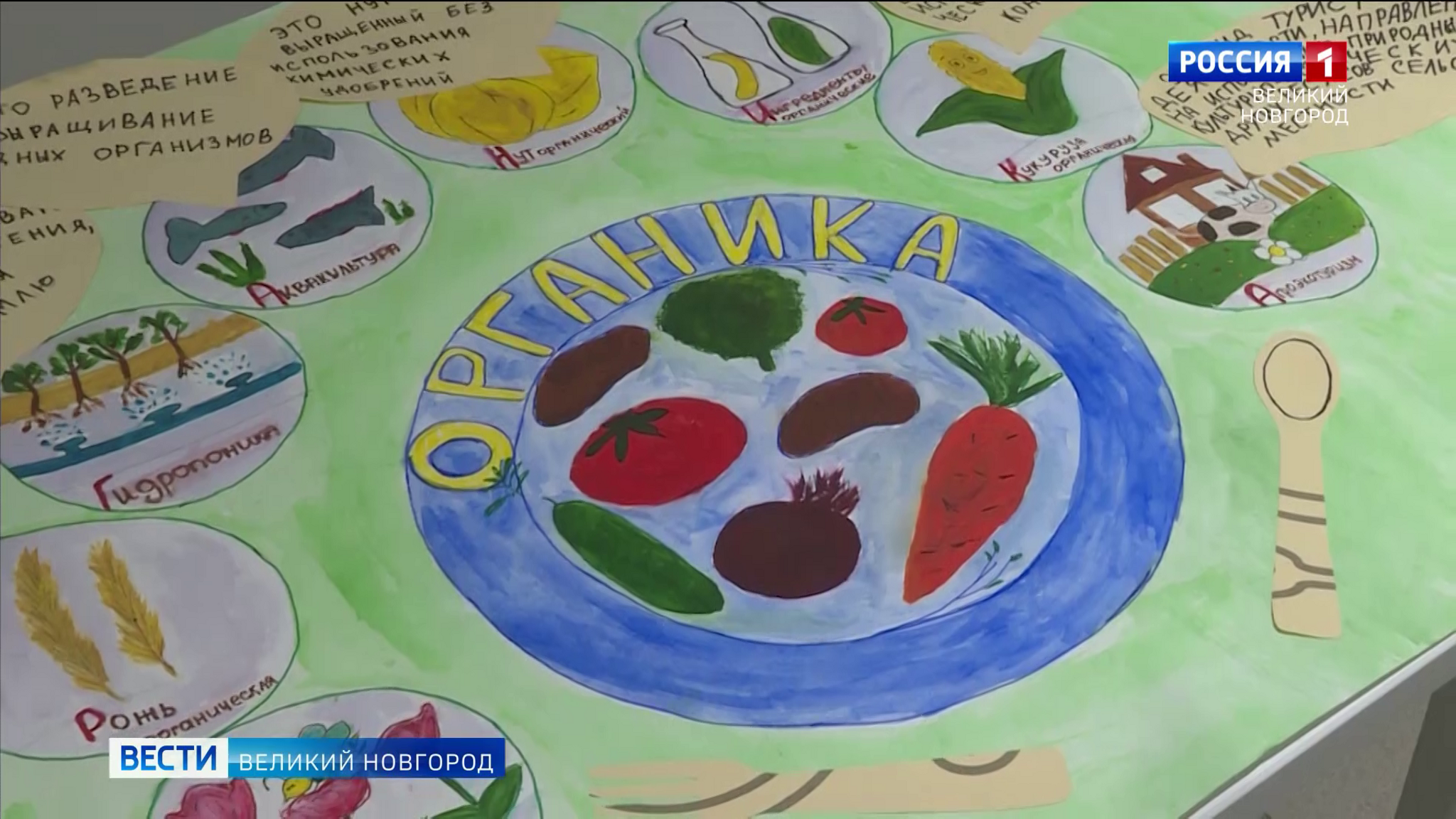 В Новгородском министерстве образования подвели итоги регионального конкурса на знание органической продукции