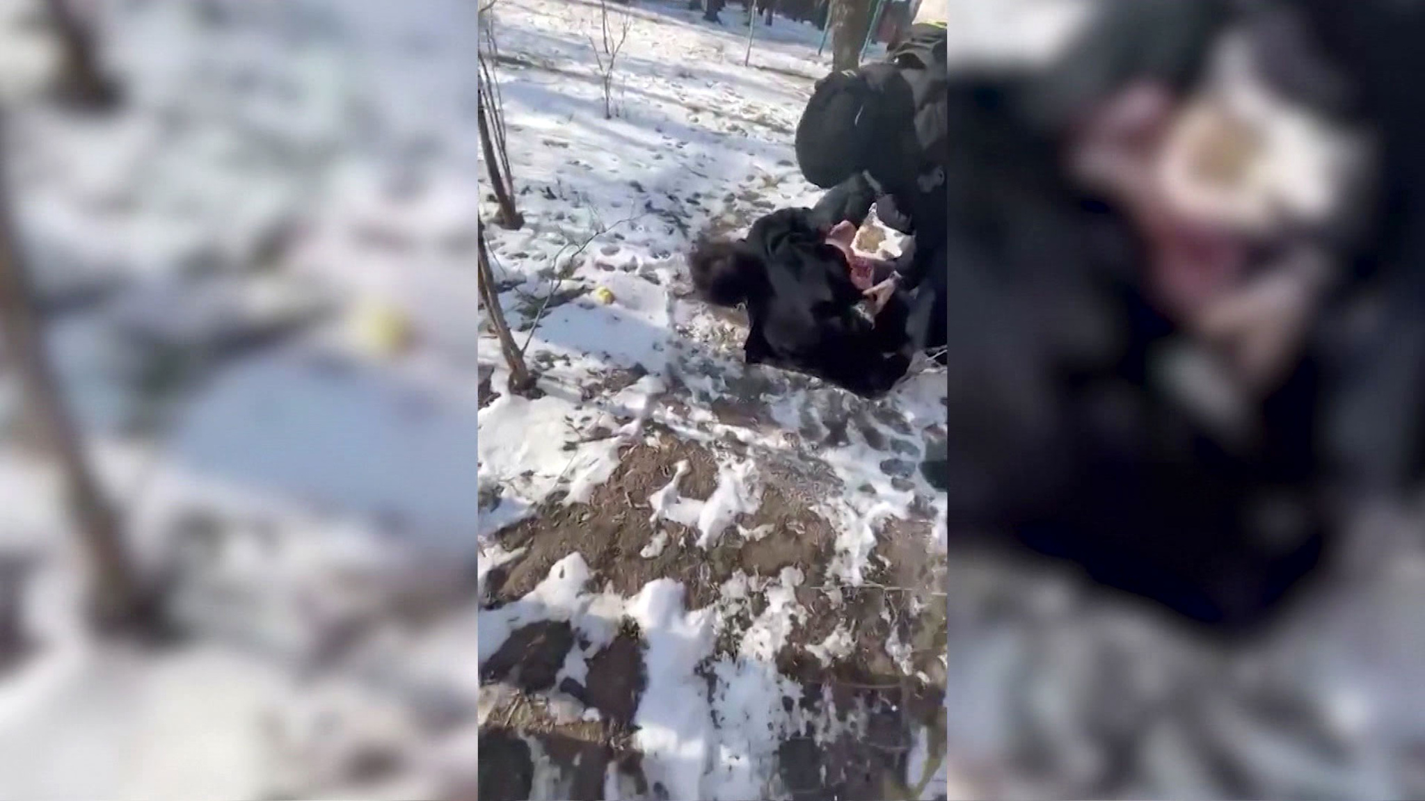 Гастролера-домушника из Подмосковья задержали в Вологде