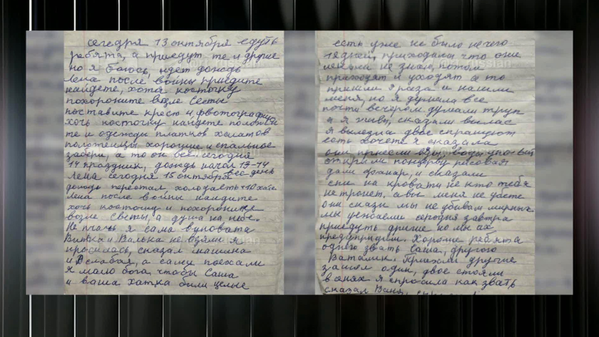 Свидетельства украинской оккупации: предсмертный дневник Татьяны Васьковой