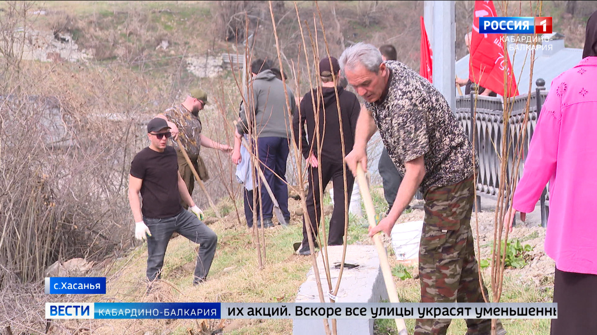 В Хасанье к 80-летию Великой Победы появилась вишневая аллея
