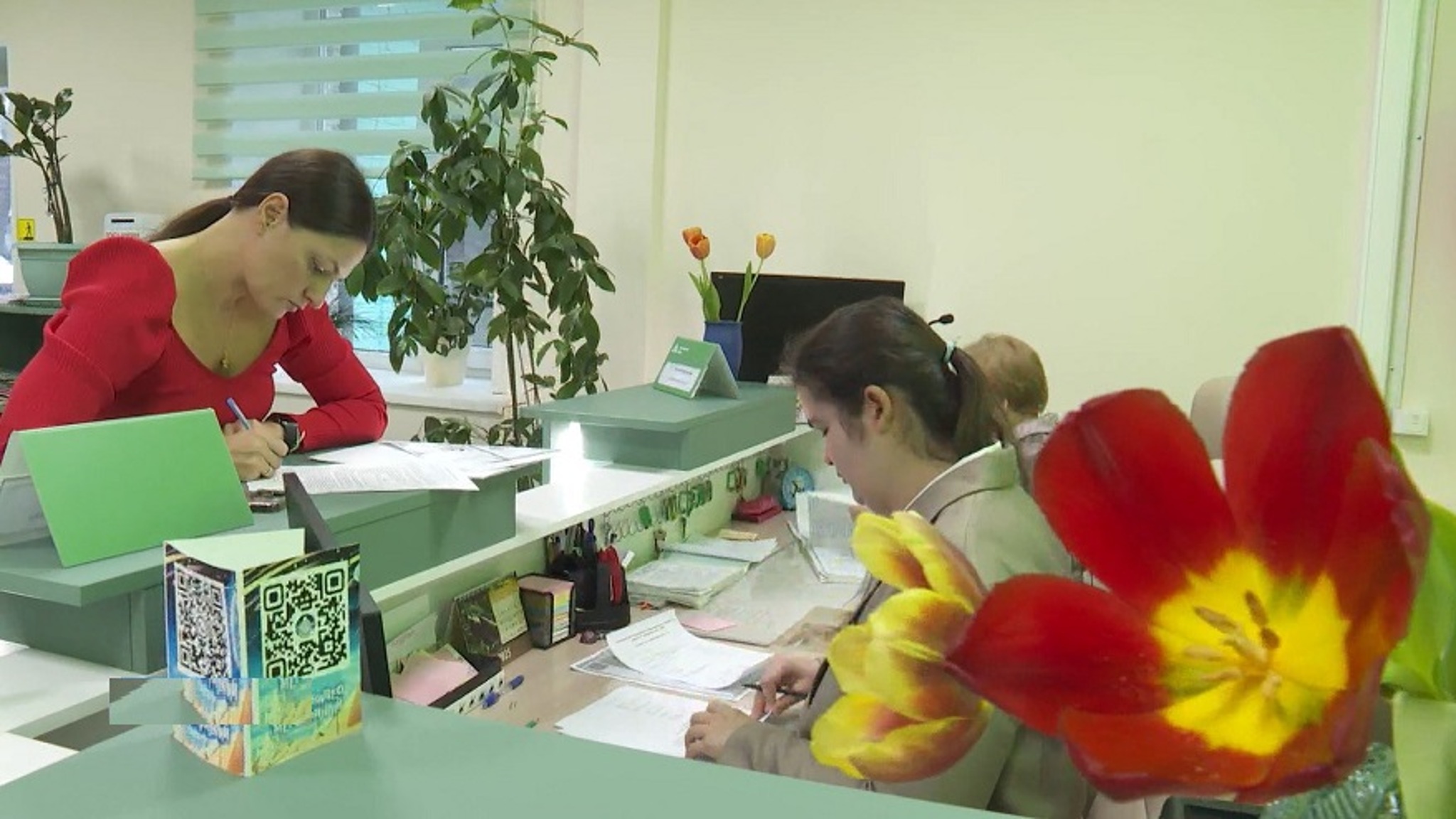 Семейный МФЦ: этапы становления маленького "Изумрудного города" во Владивостоке