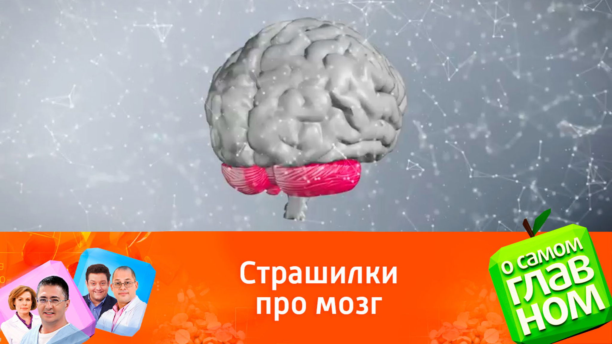 Почему мозг буквально разлагается от контента в интернете?