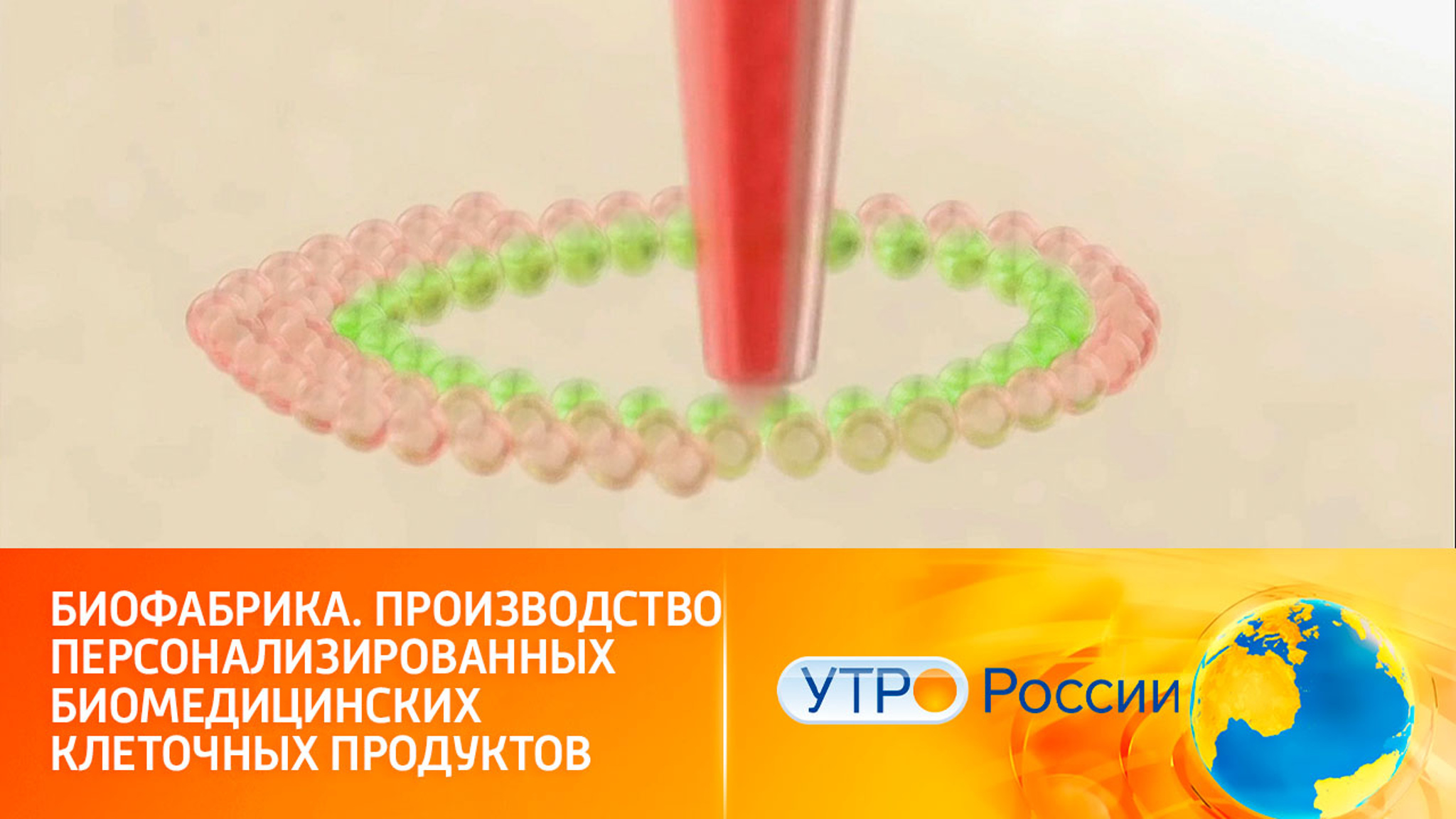 Сеченовский университет готов запустить производство биомедицинских клеточных продуктов