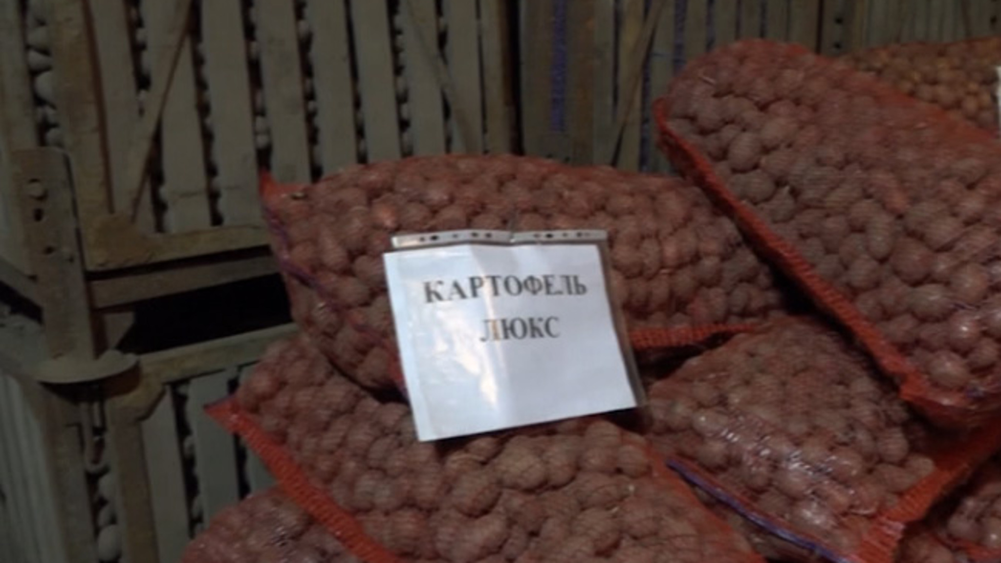 Хозяйства Забайкалья готовятся к посадке картофеля