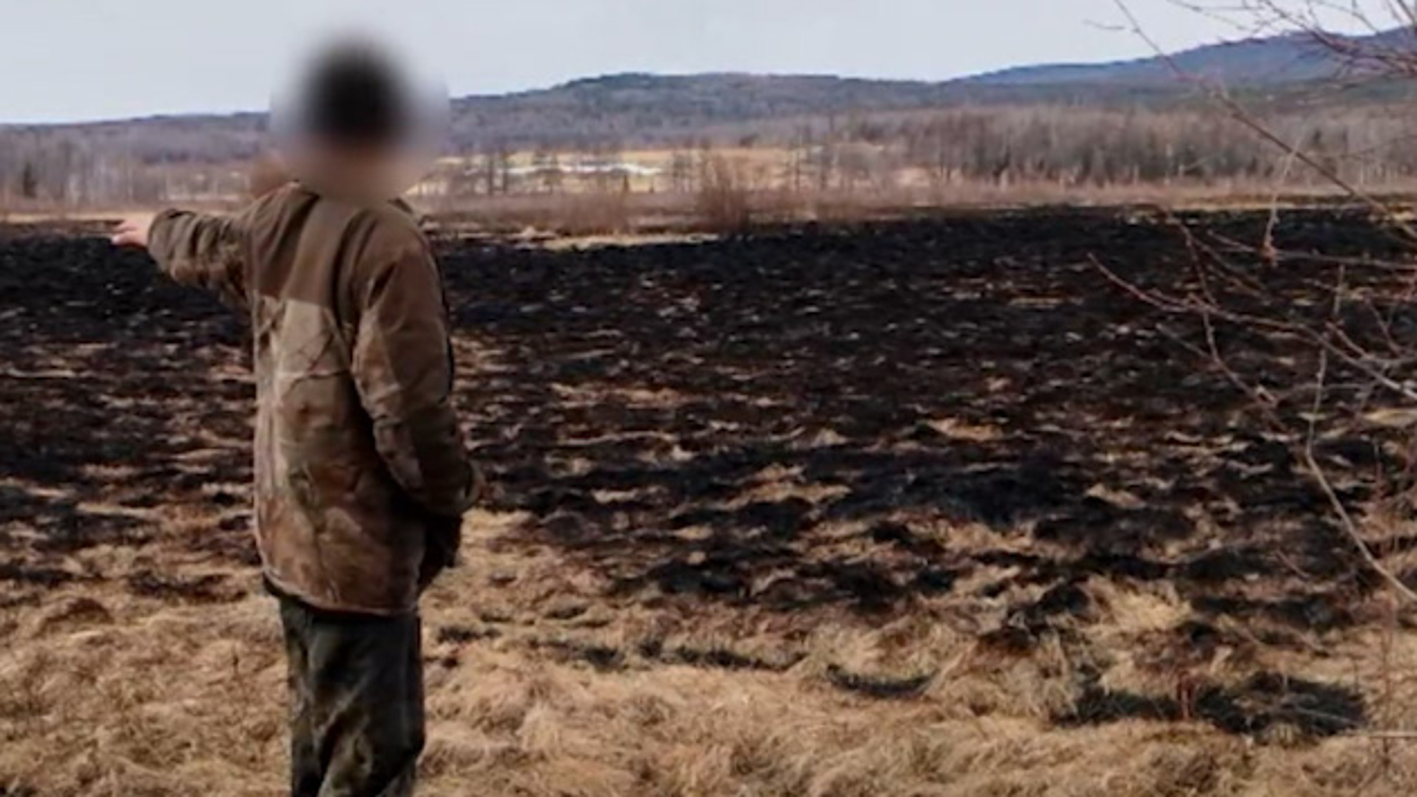 По вине жителя Улетовского округа произошёл ландшафтный пожар