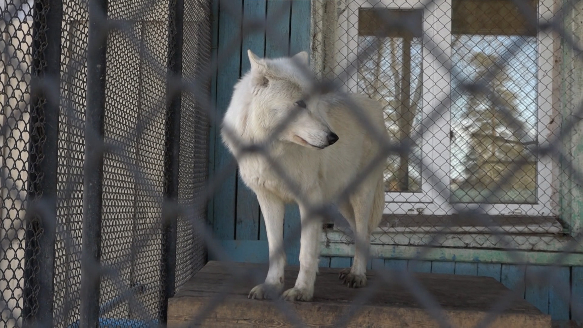 Эфир от 01.04.2025 (21:10)