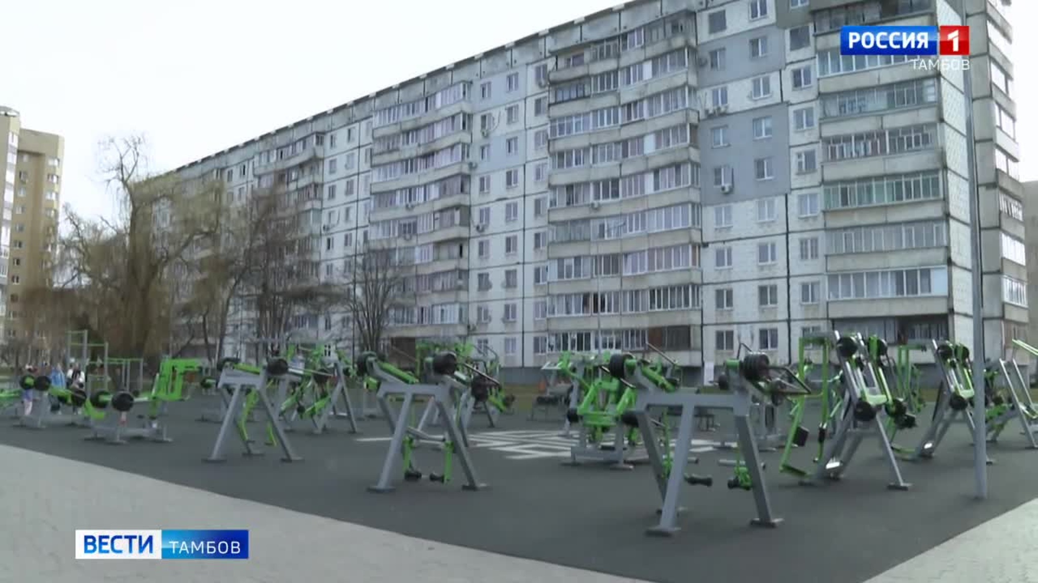В Тамбове проводят весенний осмотр зелёных зон
