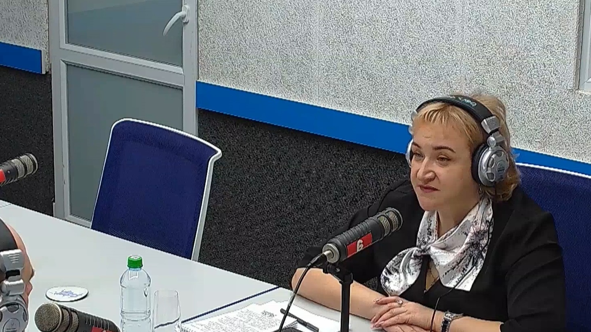 В прошлом году в Марий Эл было отловлено более тысячи бездомных животных