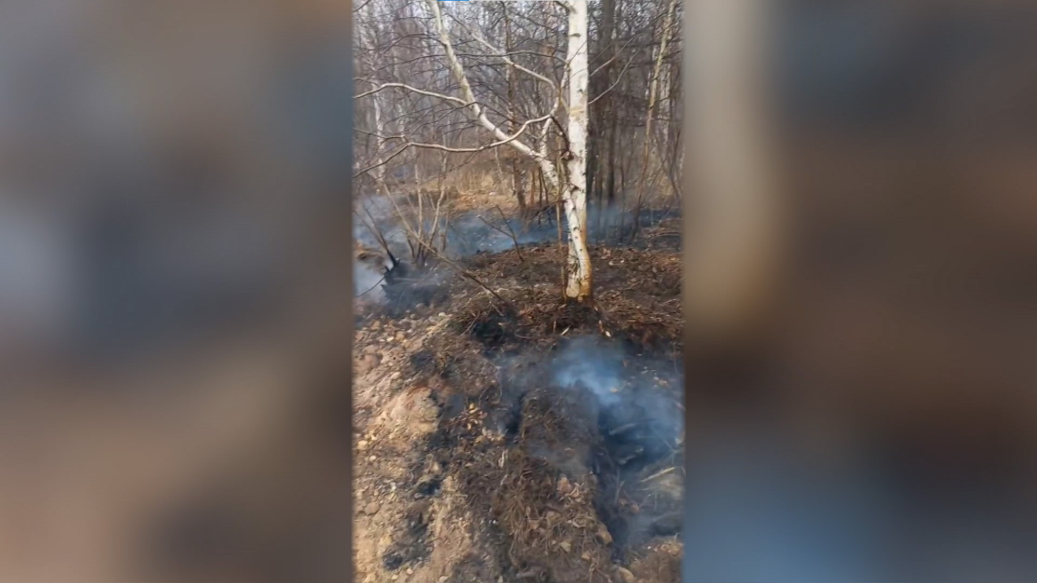Площадь лесного пожара вблизи села Ильинка за три дня выросла в 20 раз