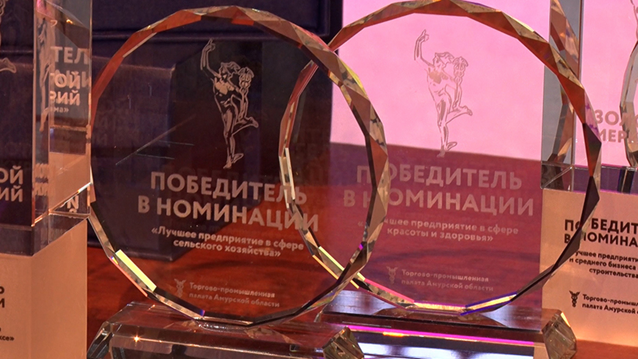 В амурской столице определили лауреатов регионального этапа национальной премии "Золотой Меркурий"