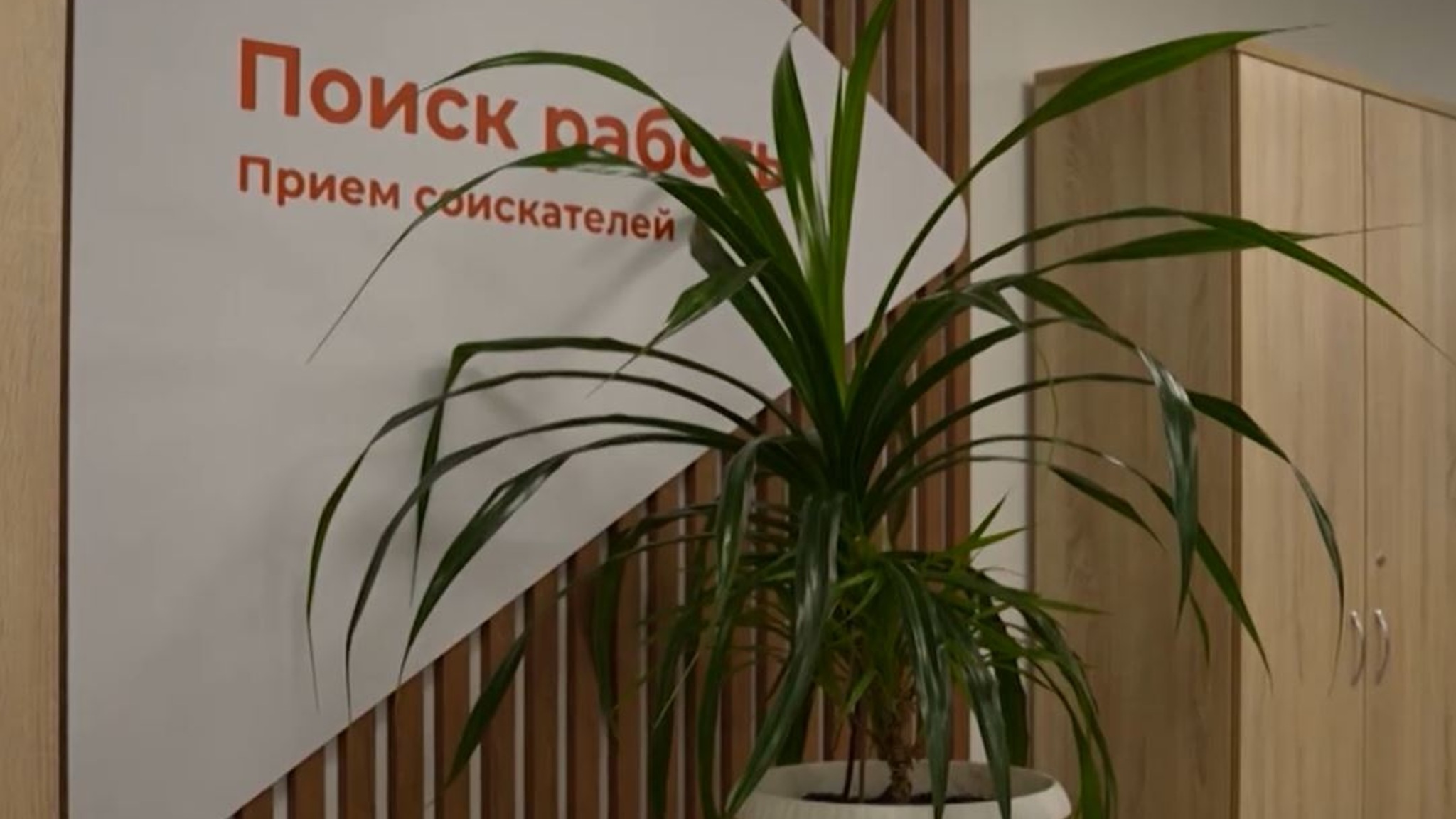 Больше миллиона кубанцев пользуются электронными трудовыми книжками