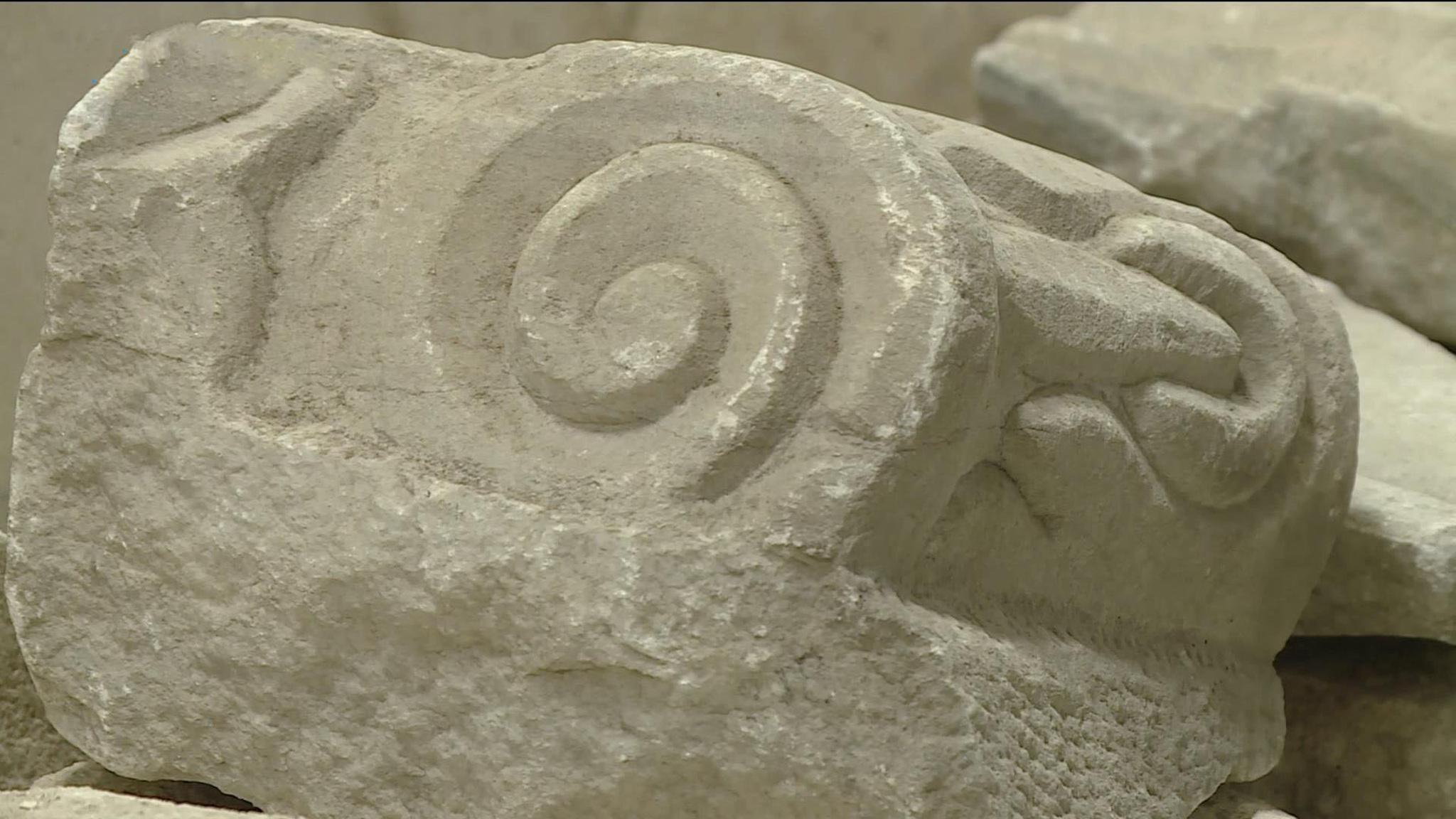 Коллекция музея "Херсонес Таврический" разместится в новом фондохранилище