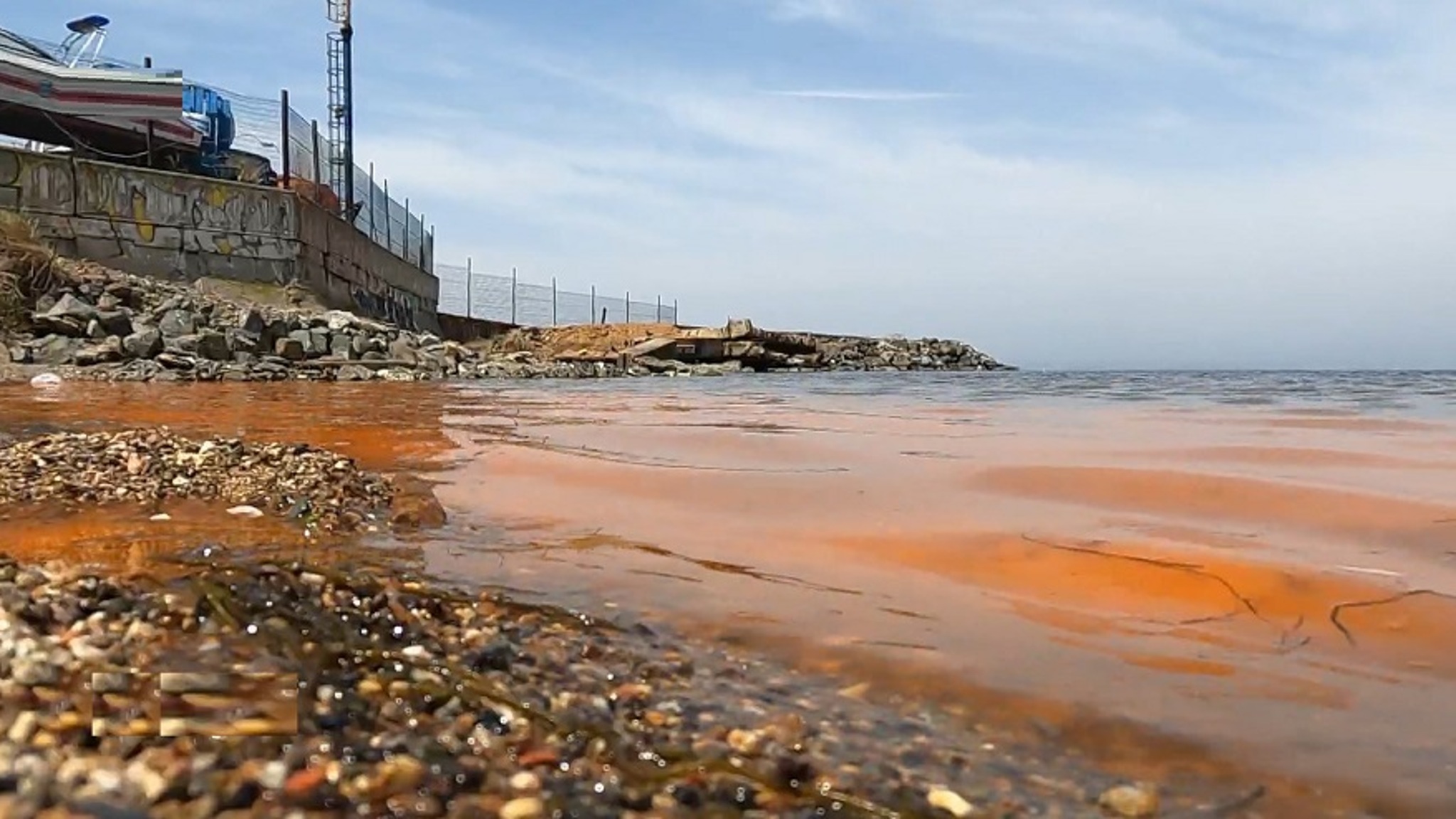 Опасно для человека? Море у набережной Спортивной гавани окрасилось в оранжевый цвет