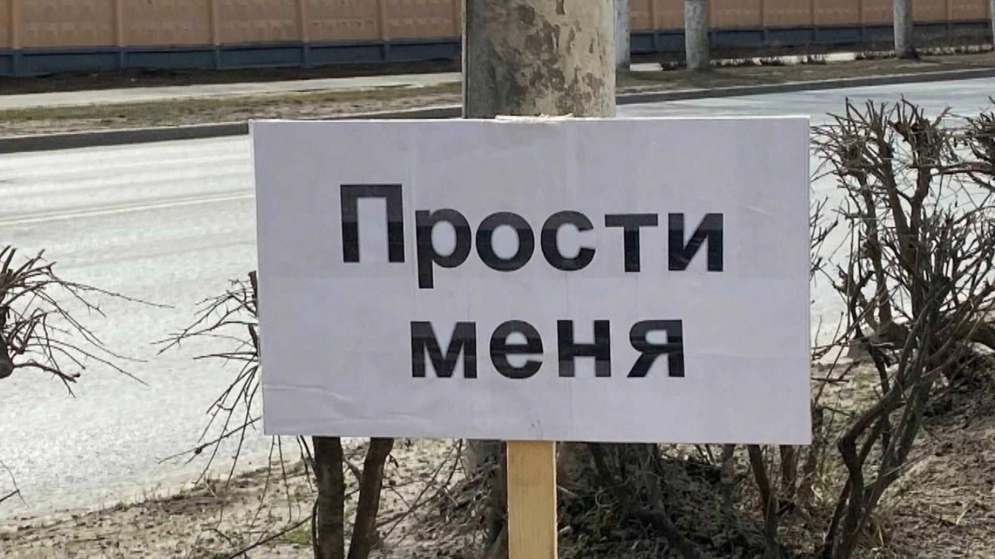 Обзор соцсетей: извинение романтика, нелюбовь к электросамокатам, проснувшиеся змеи и медведи, несостыковка на мосту в Йошкар-Оле