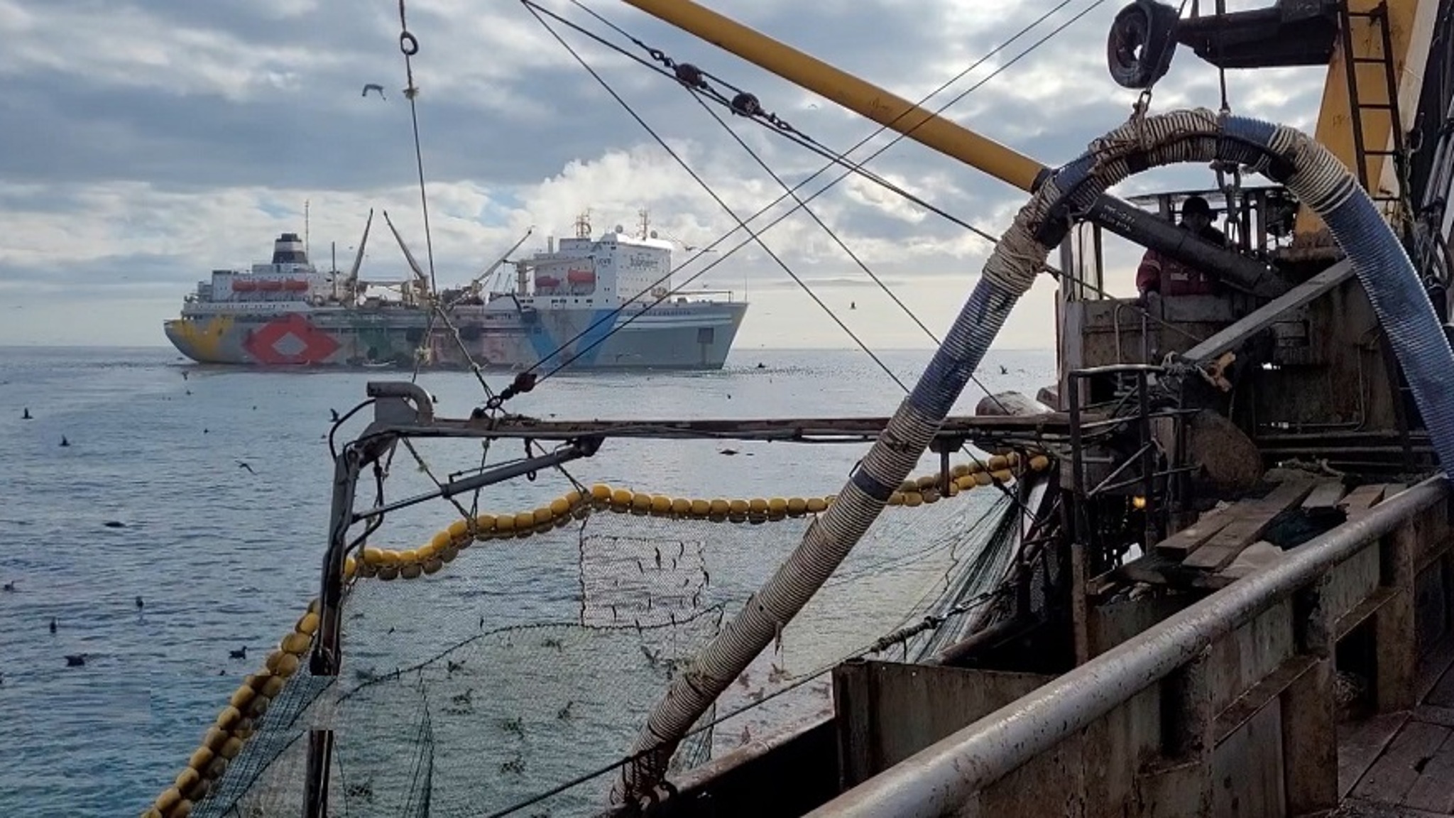 Рекорд в море: 68 млн банок рыбных консервов произвели на плавбазе "Всеволод Сибирцев"