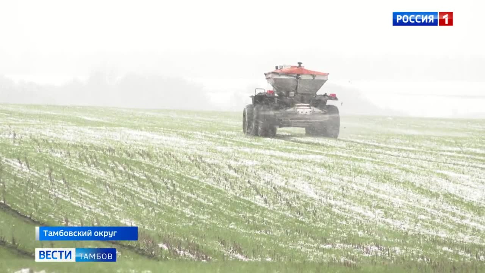 Посевная на паузе: погода внесла коррективы в ход весенних полевых работ