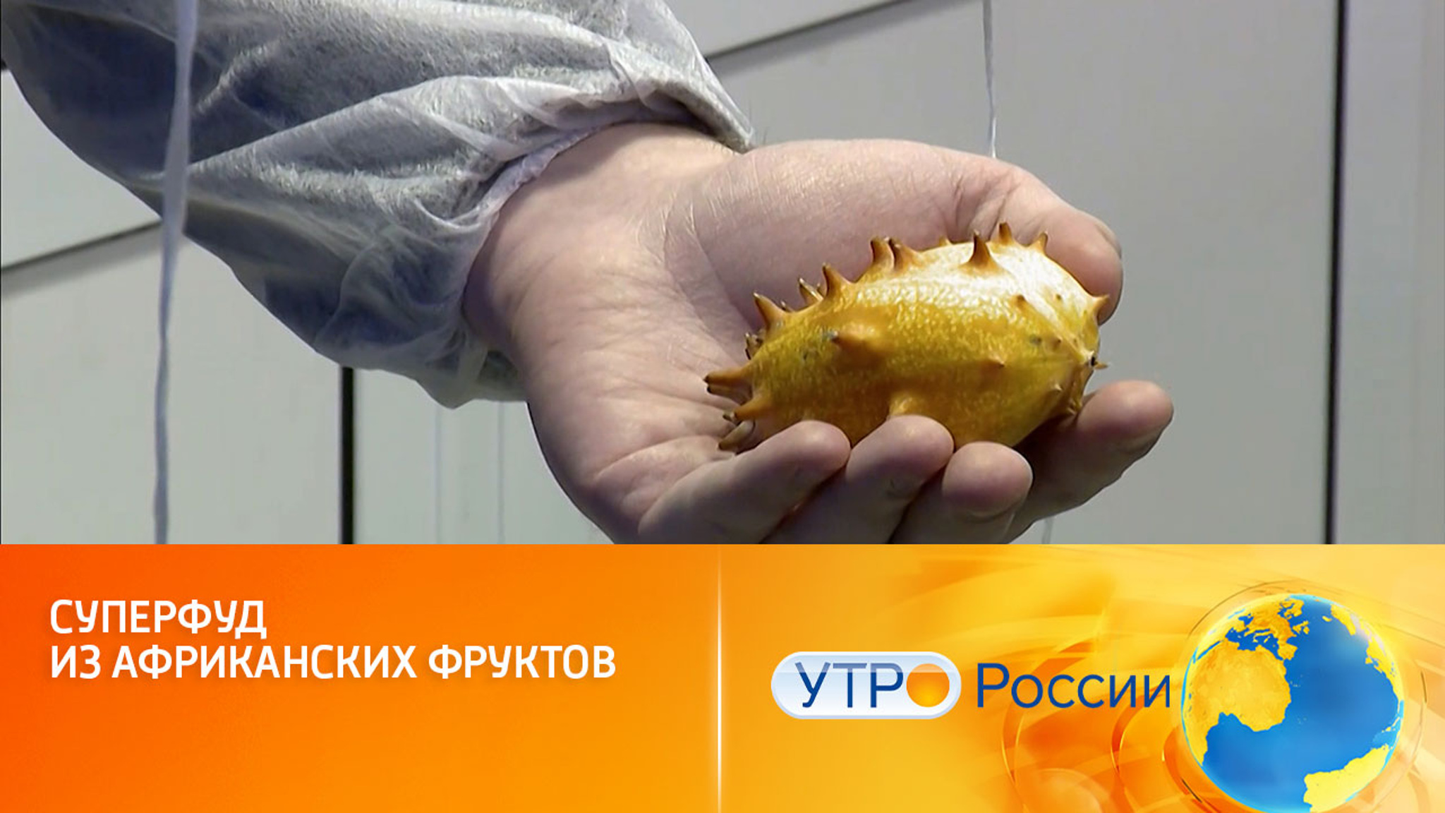 Рецепты из экзотических растений