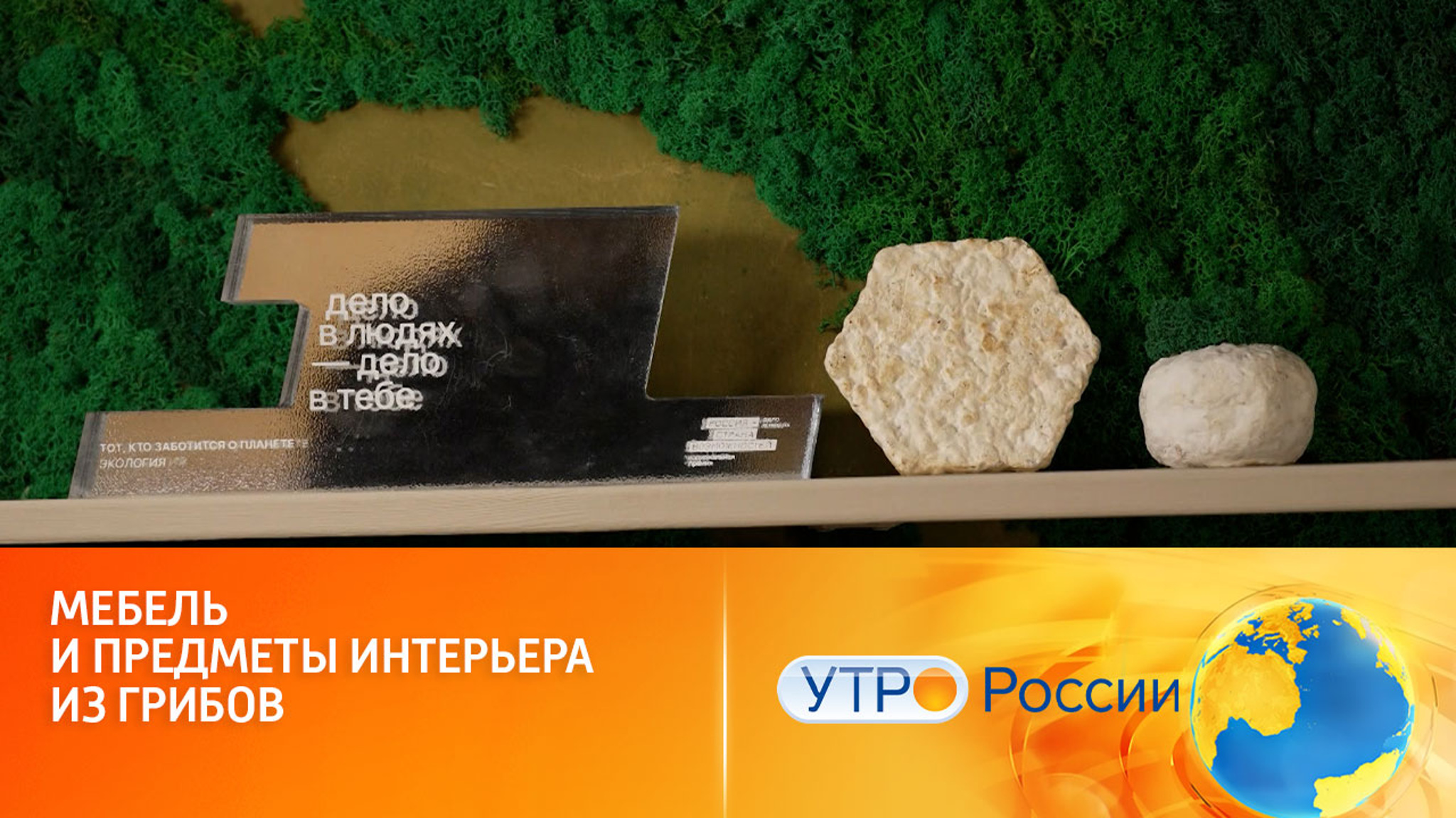 Передовые грибные разработки российских ученых