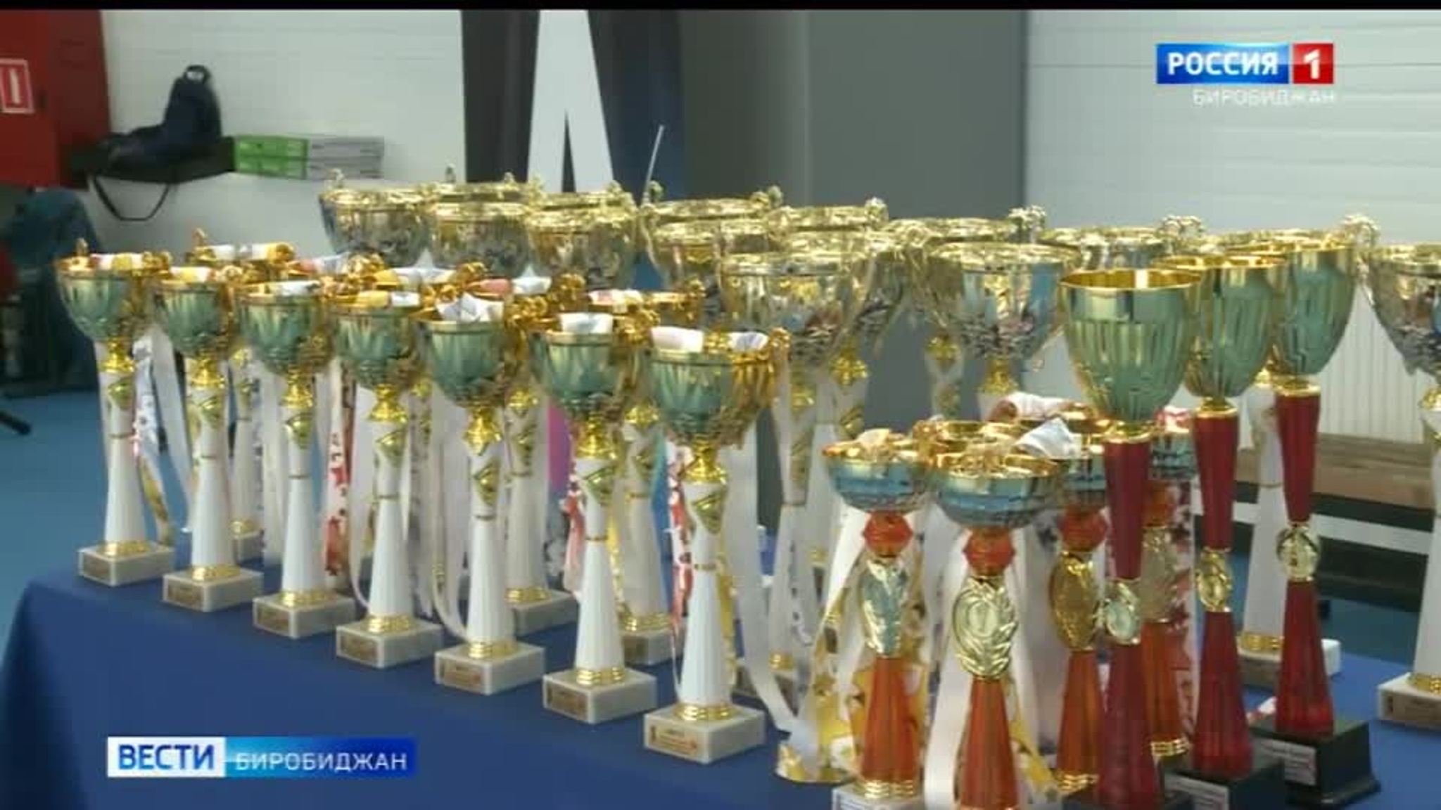 Первенство ЕАО по киокусинкай карате провели в Биробиджане