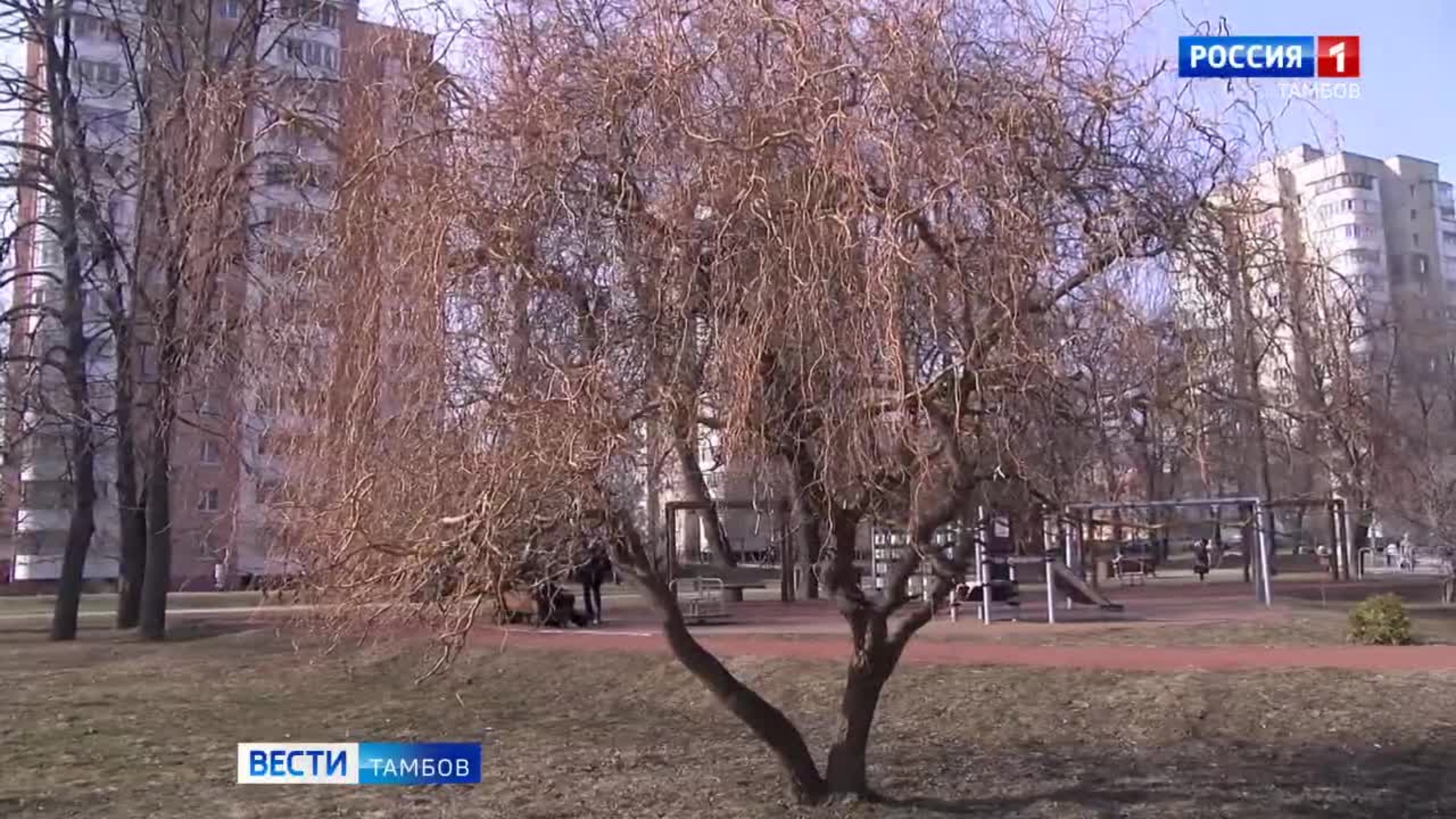 «Нейромэр» от «Новых людей» создан для помощи руководителям городов