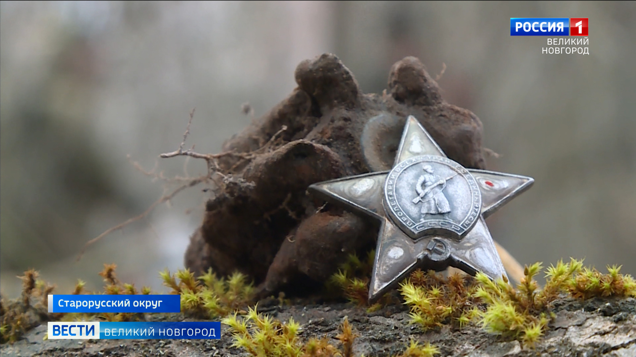 Новгородские поисковики провели разведку на местах боев под Старой Руссой