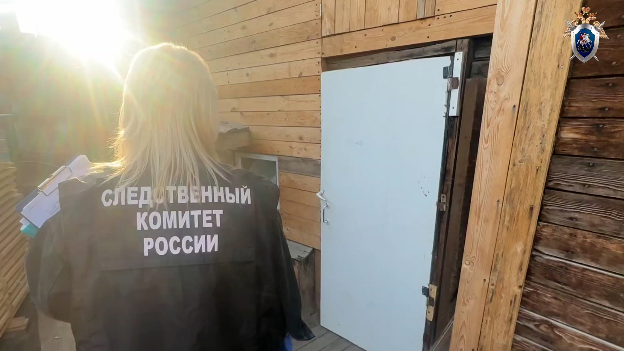 В Красноярском крае мать жестоко убила собственных детей