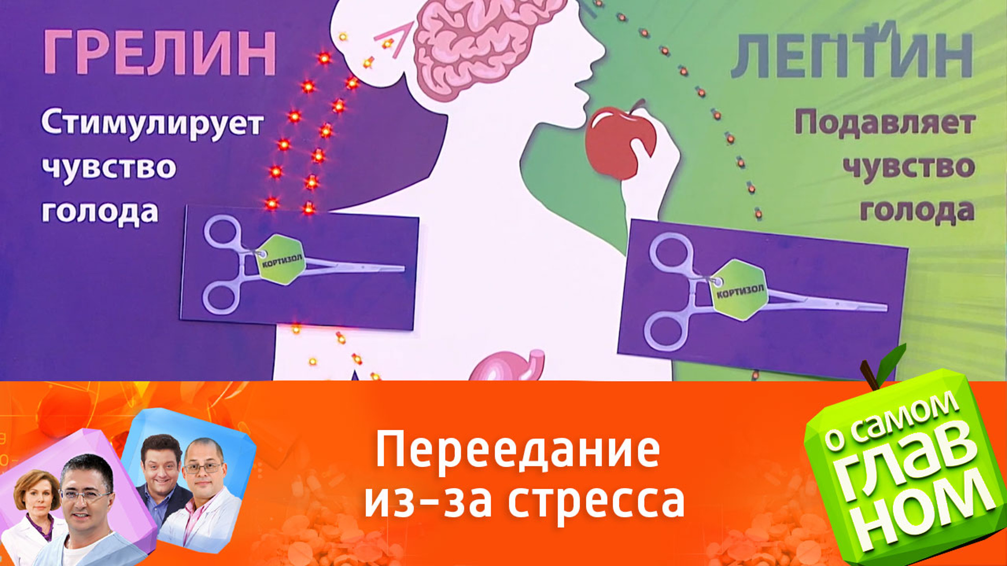 Опасен ли переизбыток кортизола?