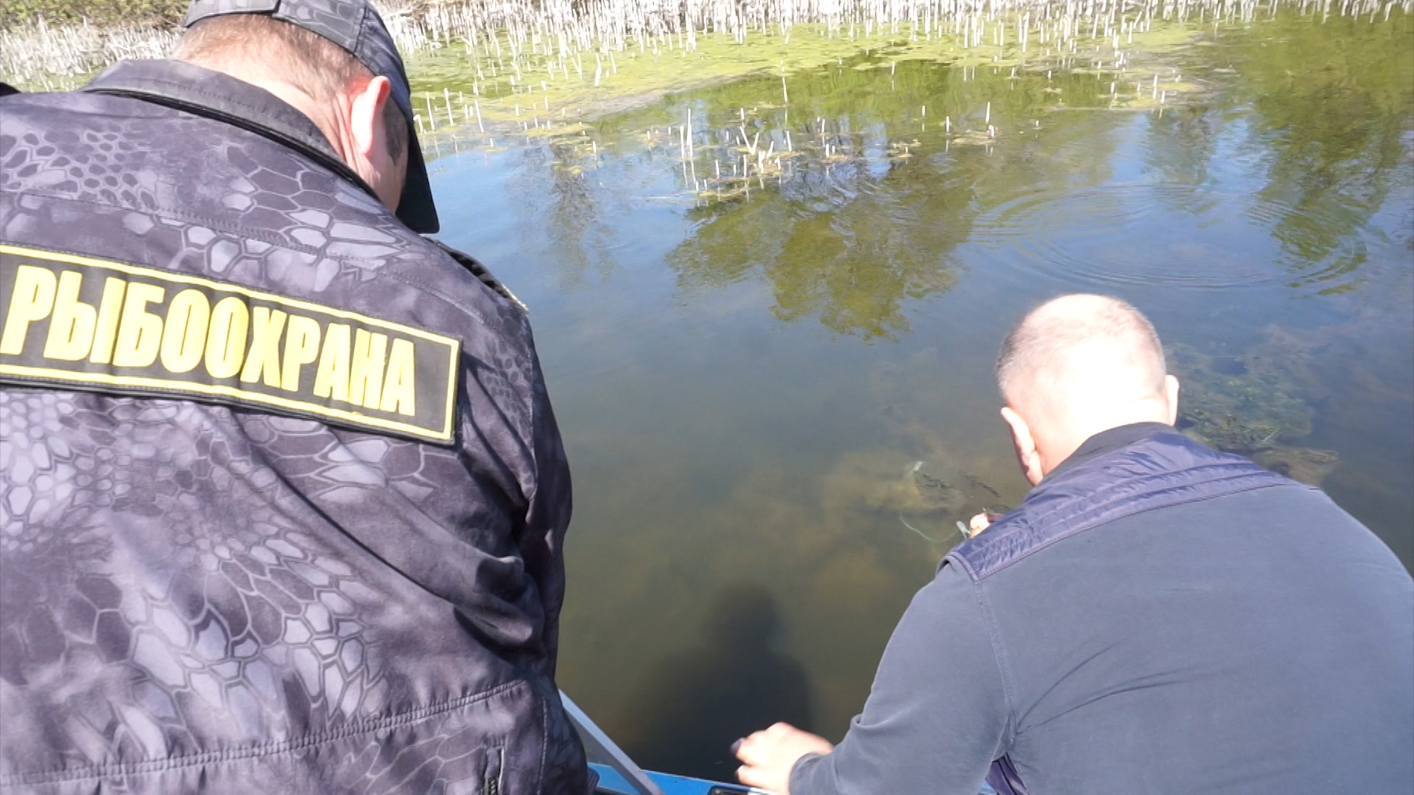 В Волгоградской области провели акцию по сохранению краснокнижной выхухоли