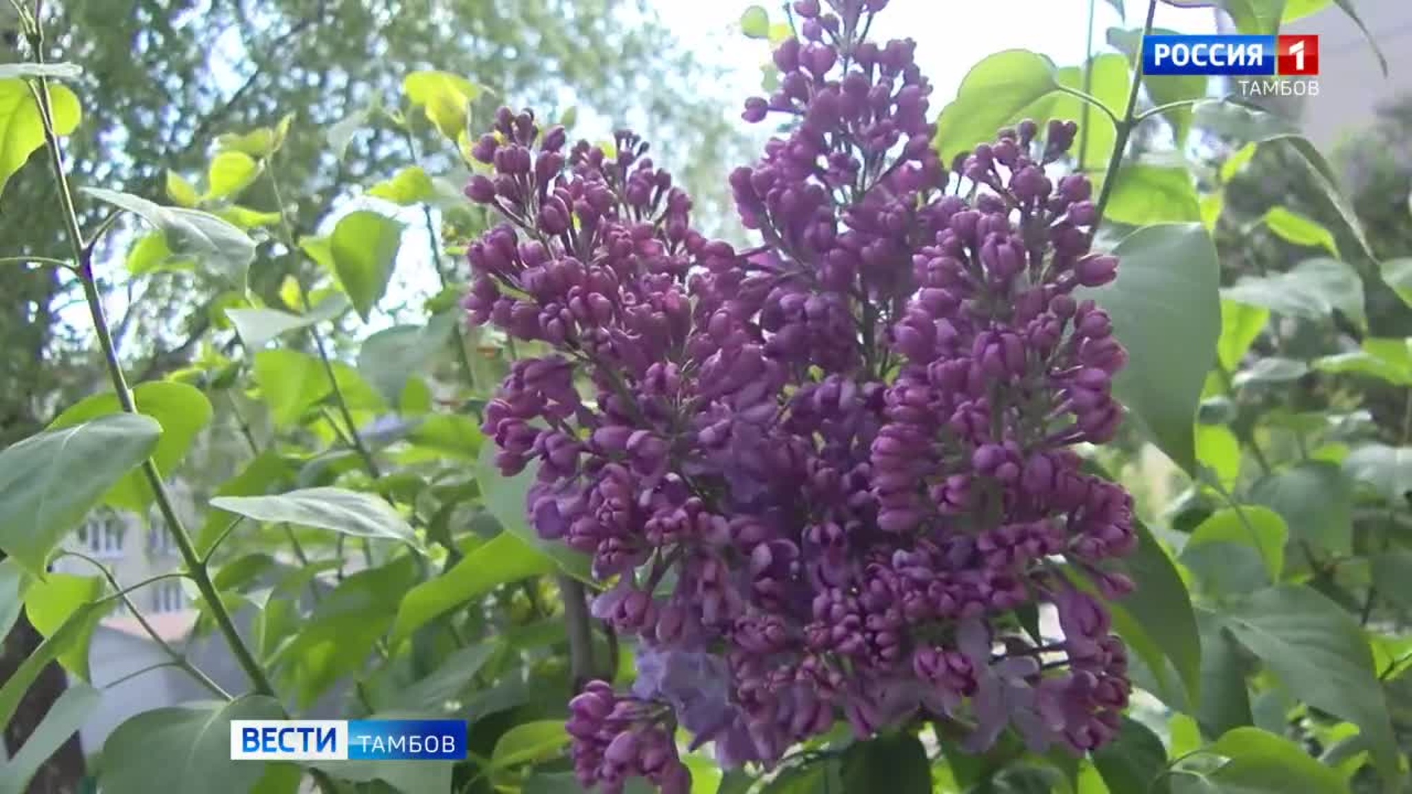 Синоптики прогнозируют дожди и порывистый ветер