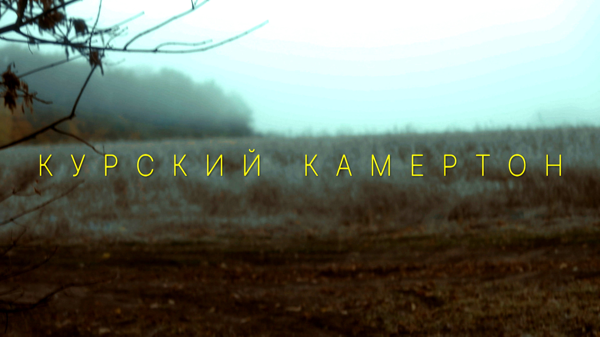Курский камертон