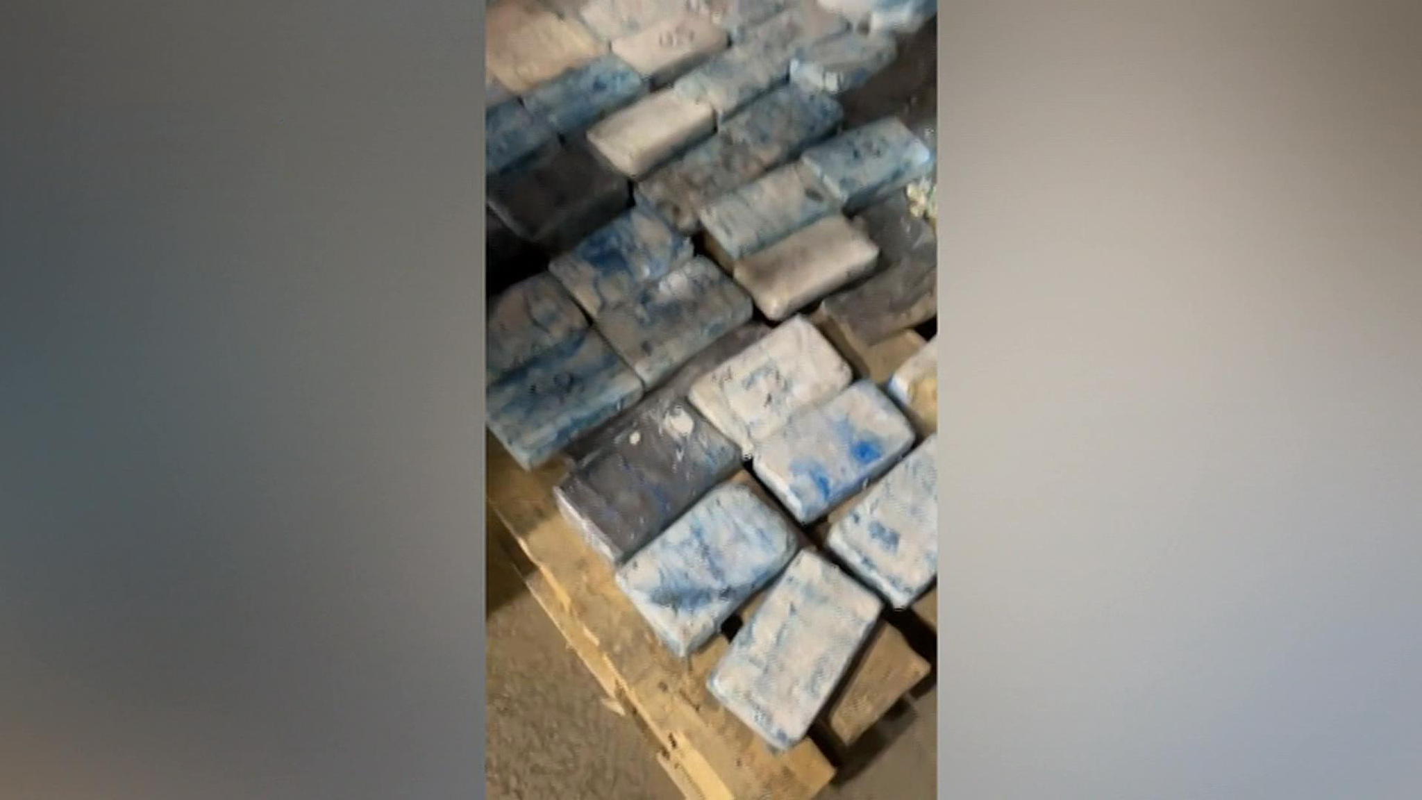 В контейнере с бананами обнаружили 60 кг кокаина