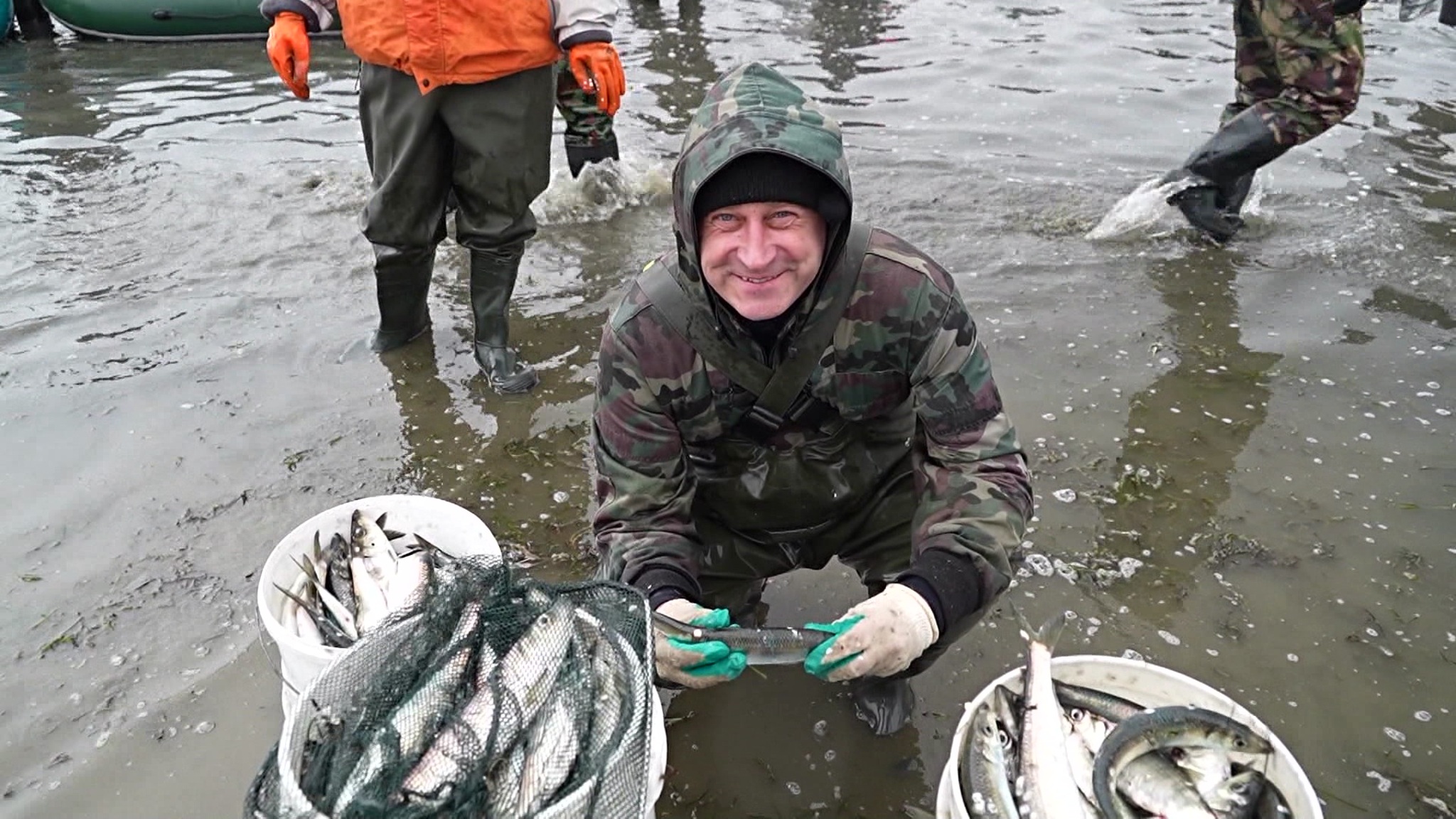 В Магаданской области собирают сельдь руками
