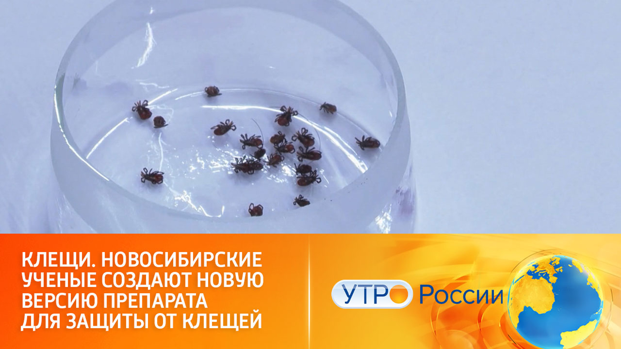 Новая версия препарата для защиты от клещей