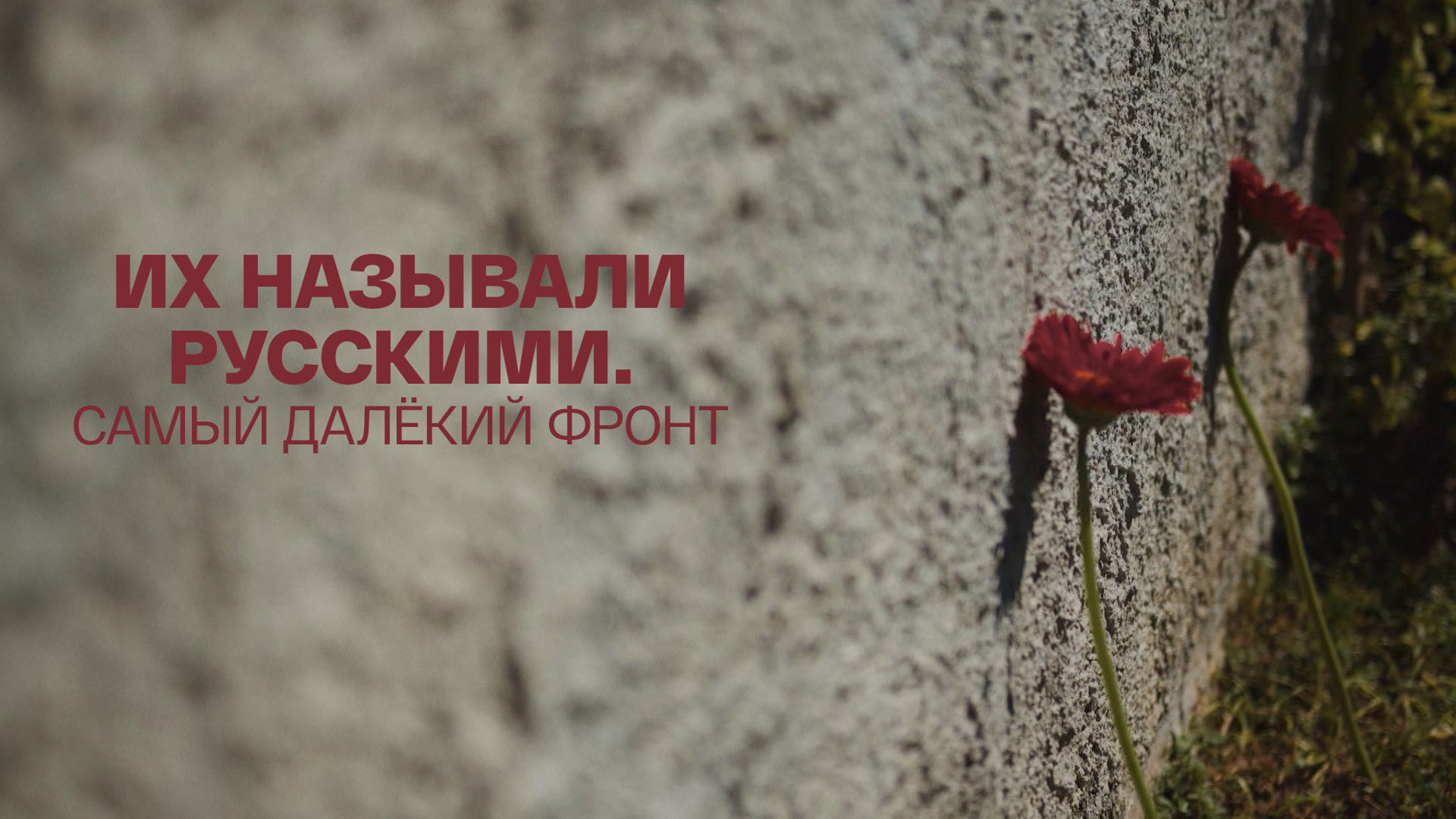 Их называли русскими. Самый далёкий фронт