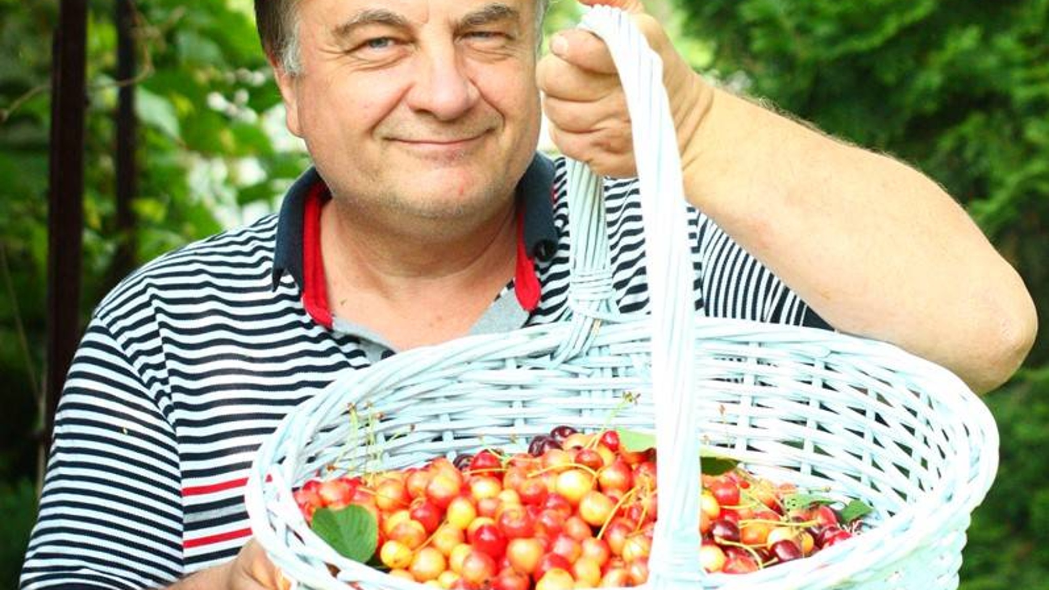 Эксперт: штрафы из-за глухих заборов – это фейк