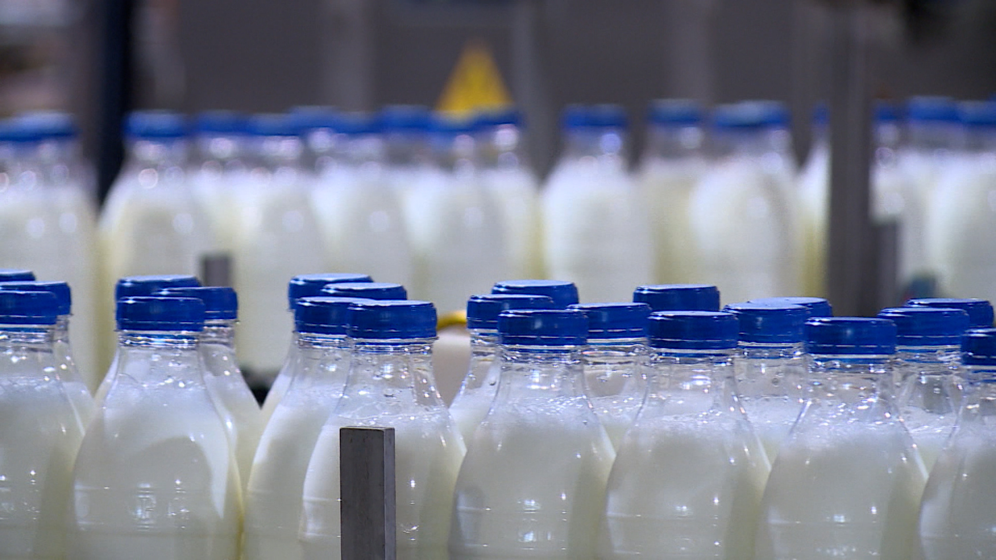 В России заметно увеличилось производство молока и молочной продукции