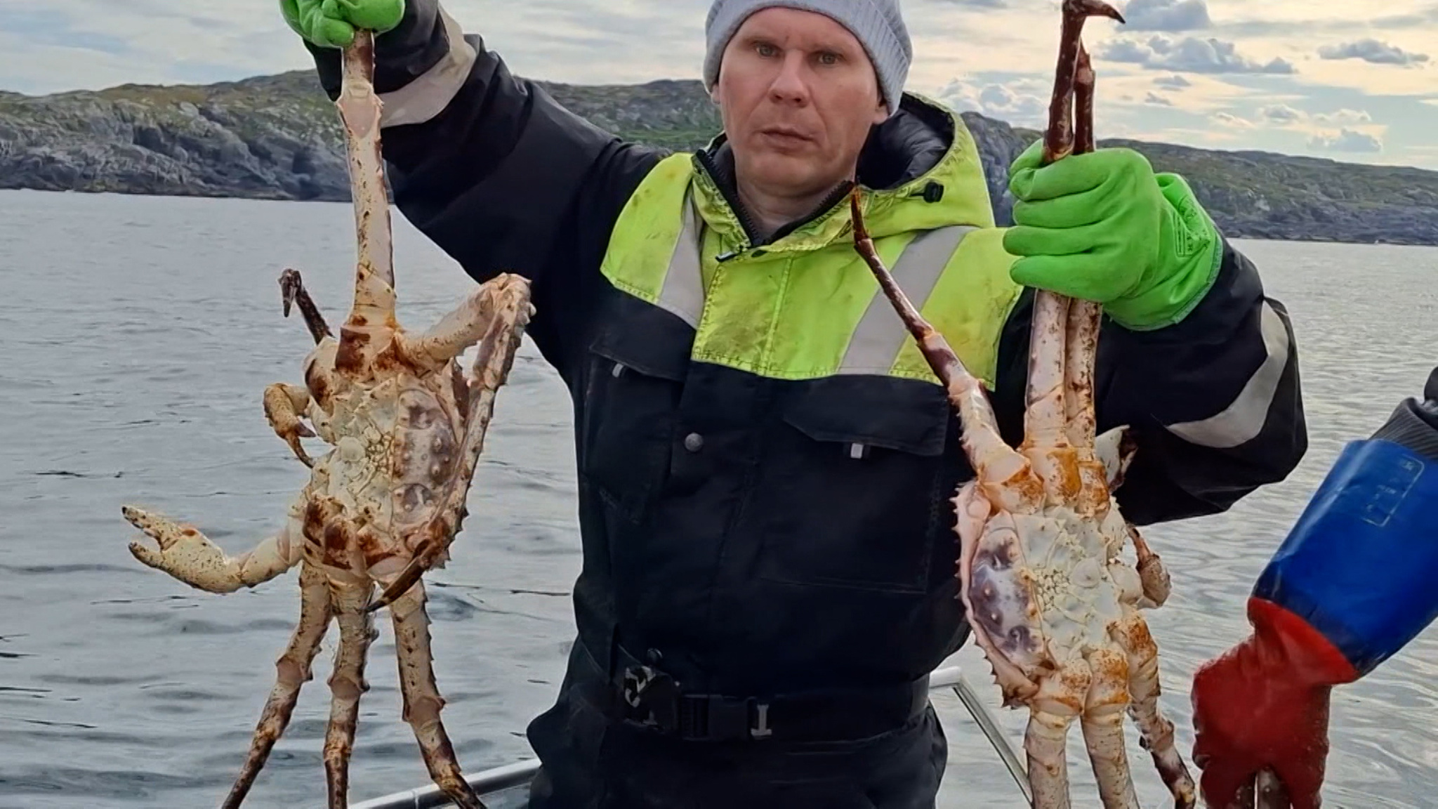 В Баренцевом море – разгар сезона охоты на камчатского краба