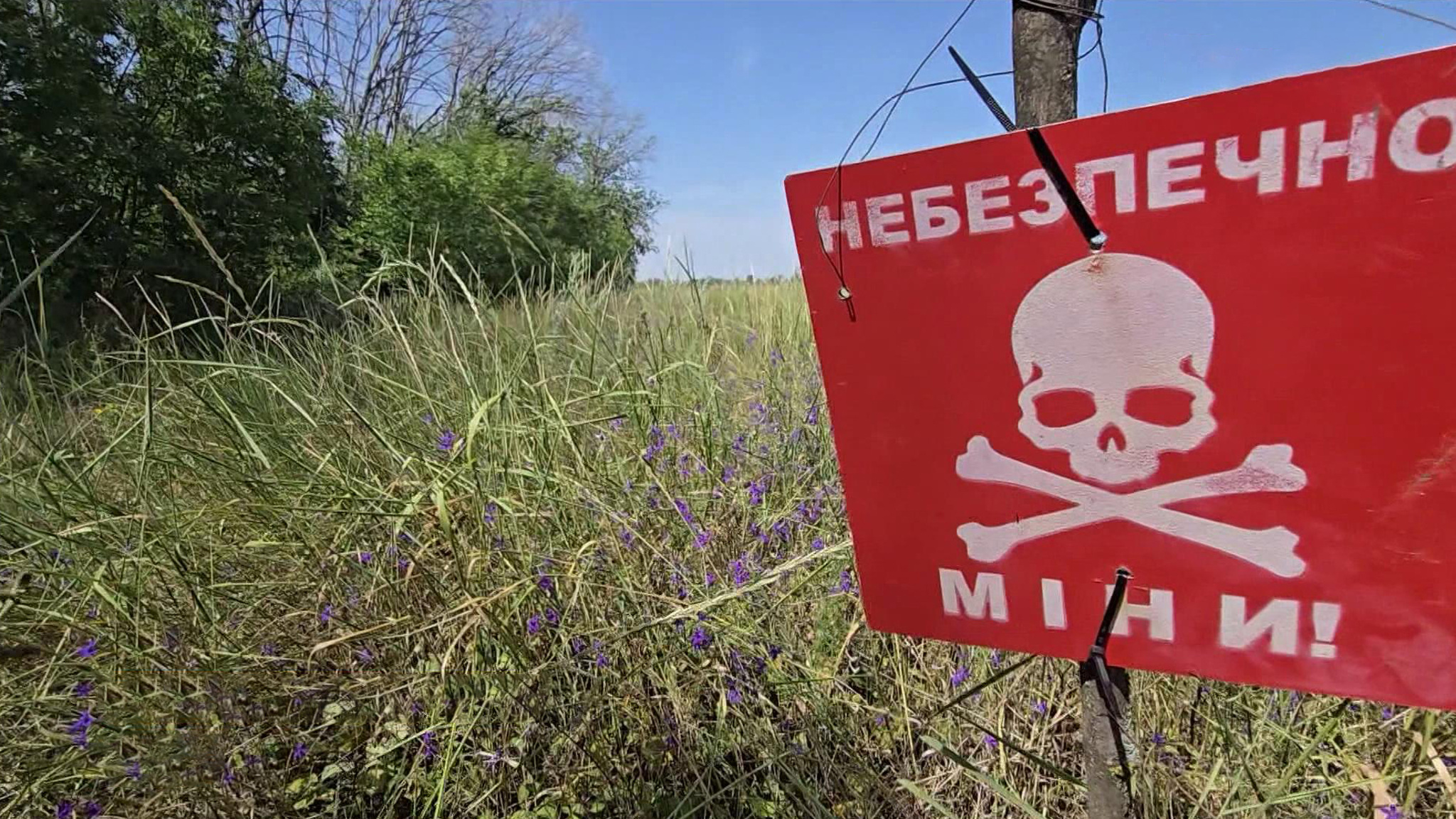 В ЛНР саперы проводят масштабное разминирование